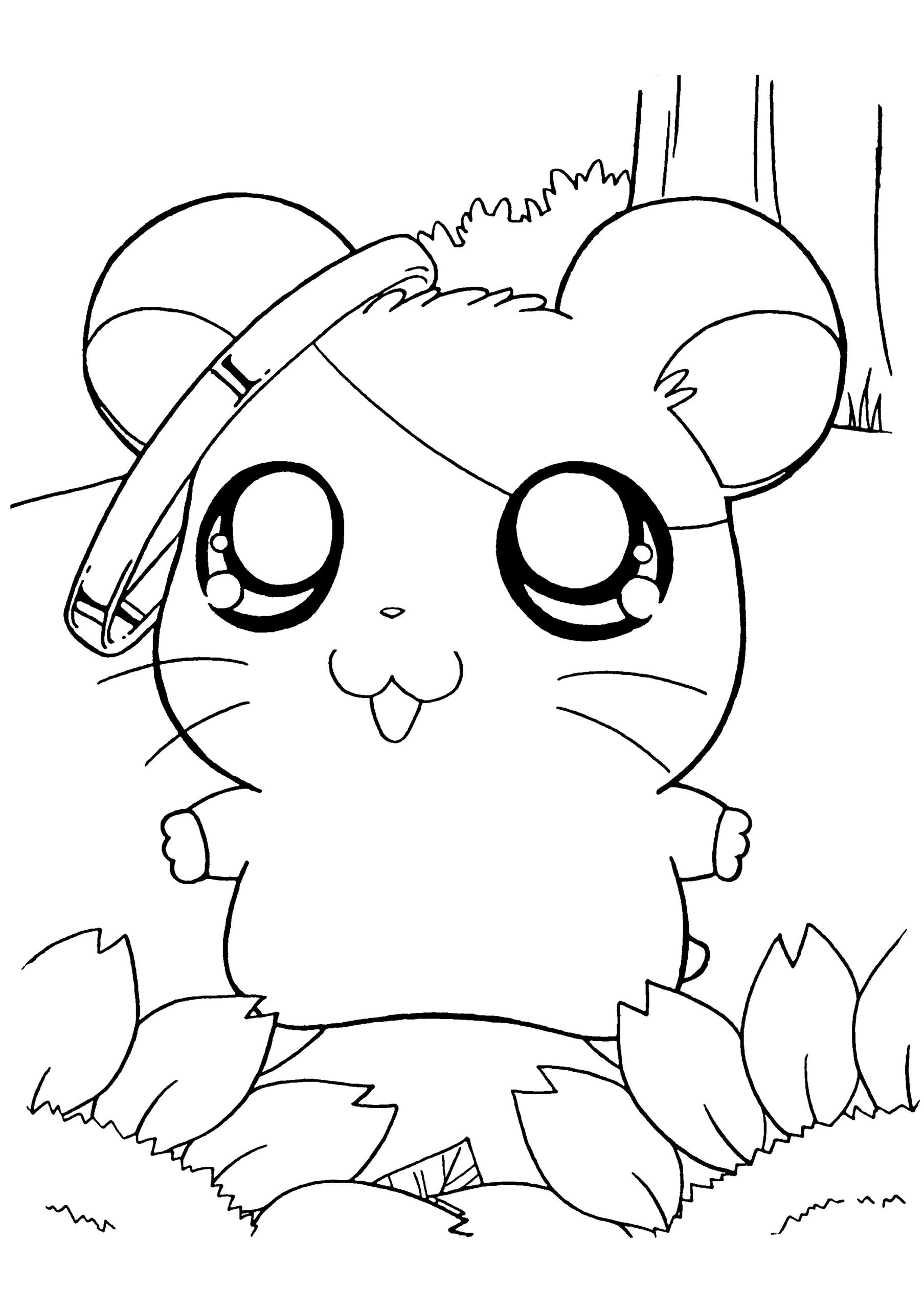 Cute Hamster Printable Coloring Pages