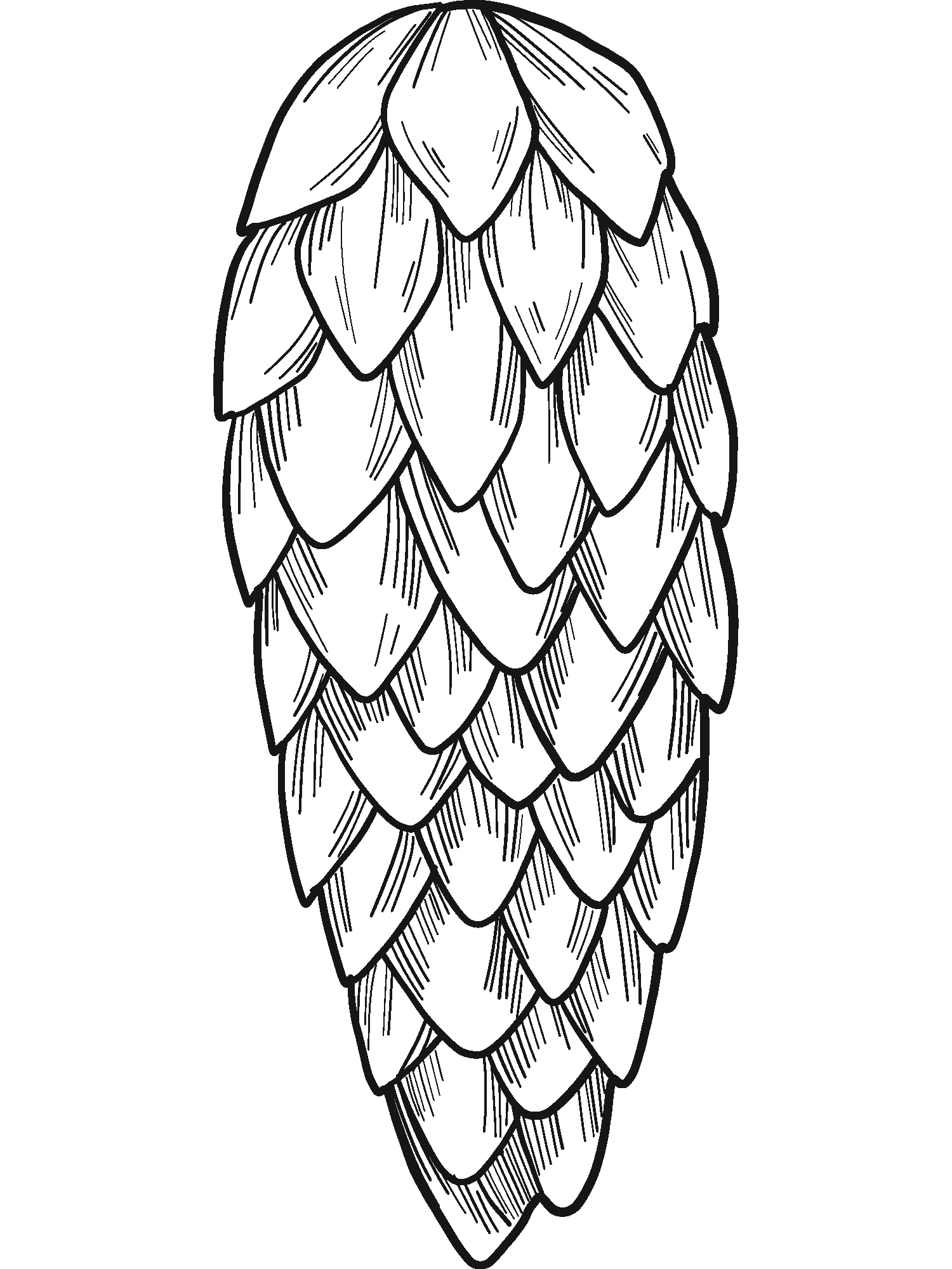 Printable Pine Cone Coloring Page