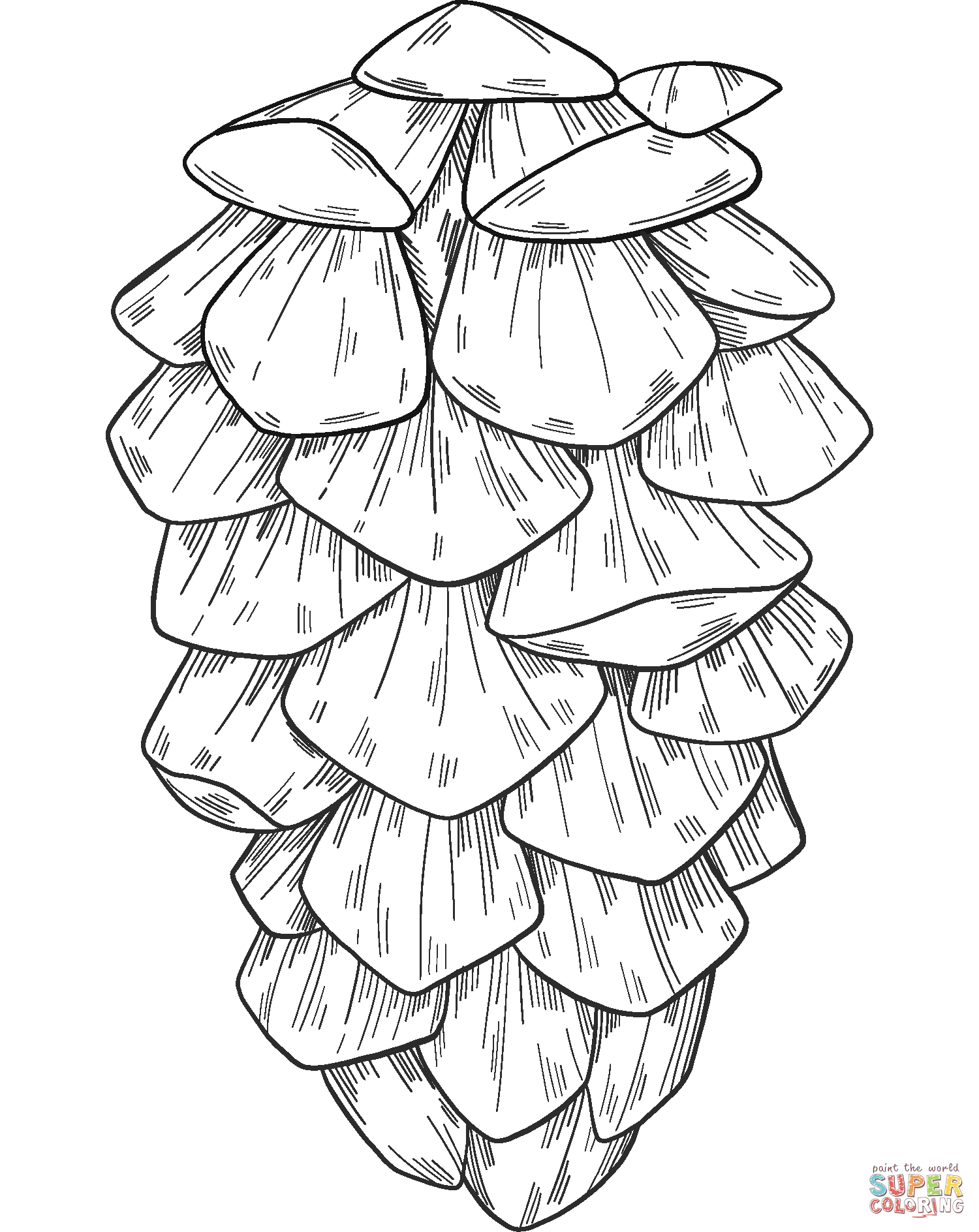 Pine Cone Coloring Page Free Printable Coloring Pages Coloring Home