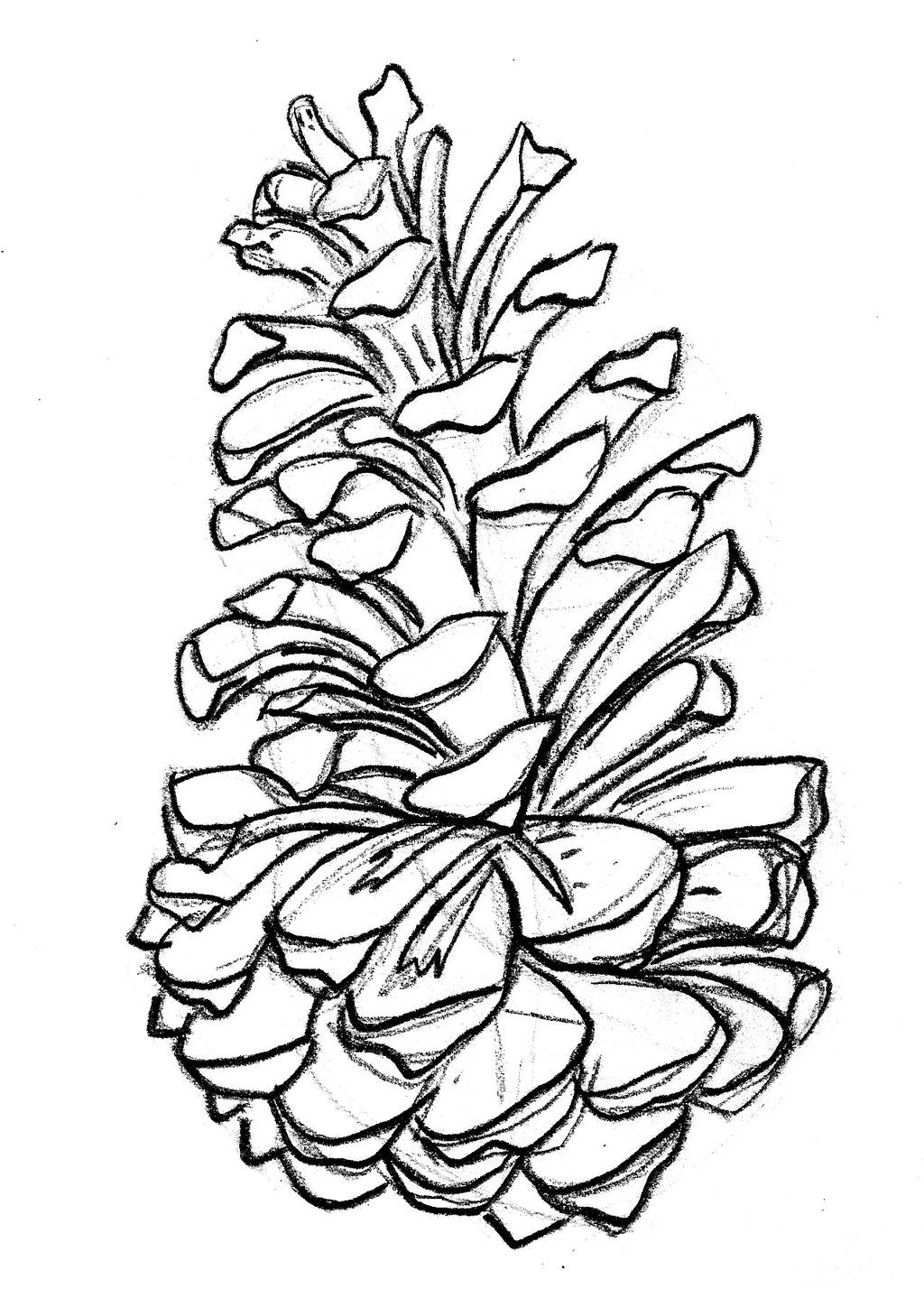 Pine Cone Coloring Pages Coloring Home