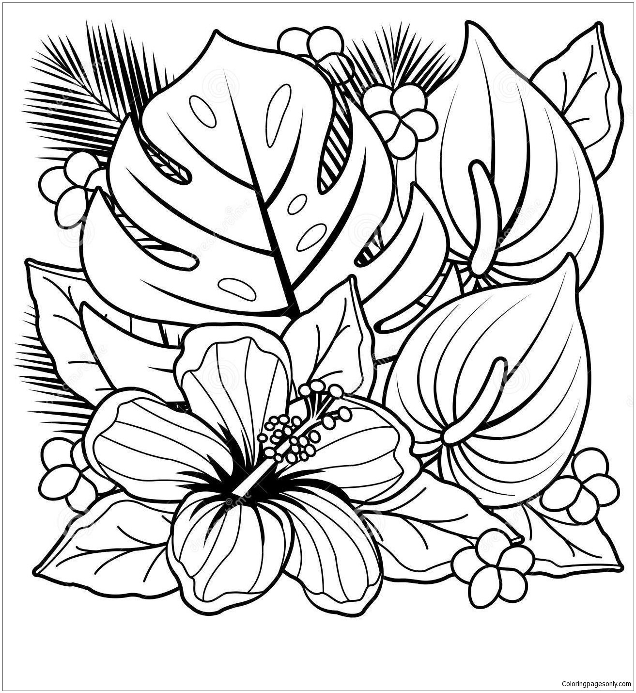 Plants Coloring Pages Printable