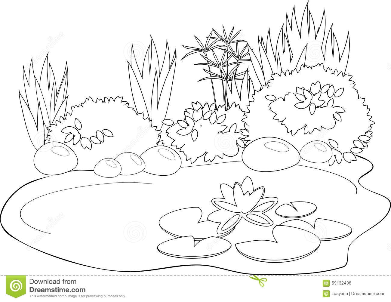 Pond Animals Coloring Pages At GetColorings Free Printable Colorings Pages To Print And Color