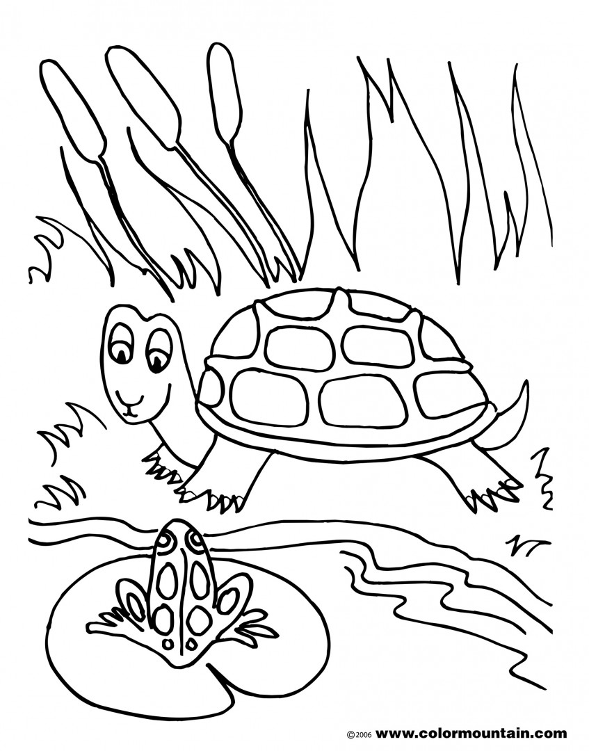 Free Printable Pond Coloring Pages