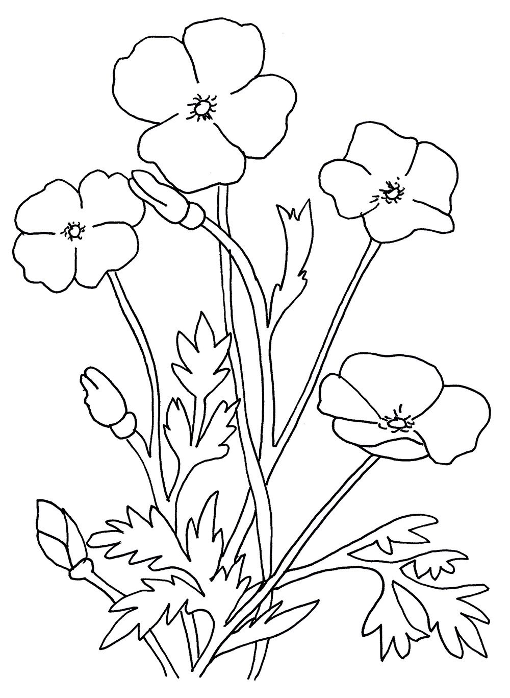 Poppy Coloring Page Printable