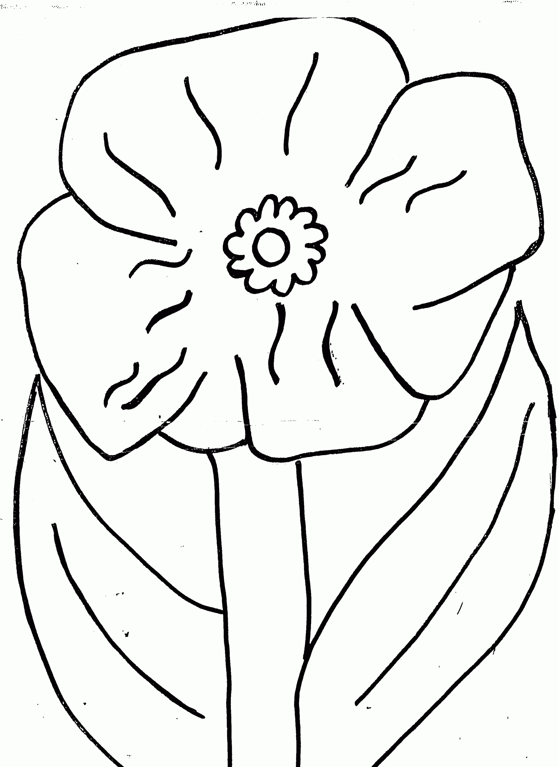 Poppy Colouring Page