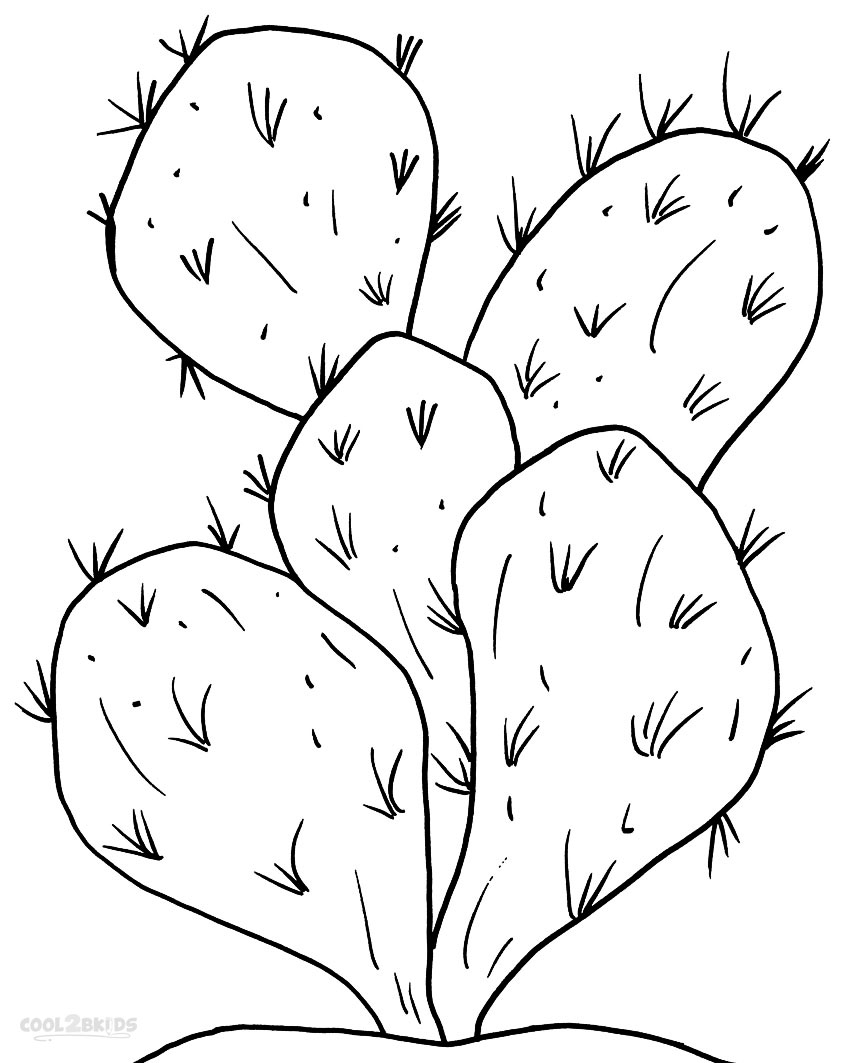 Free Printable Coloring Pages Cactus