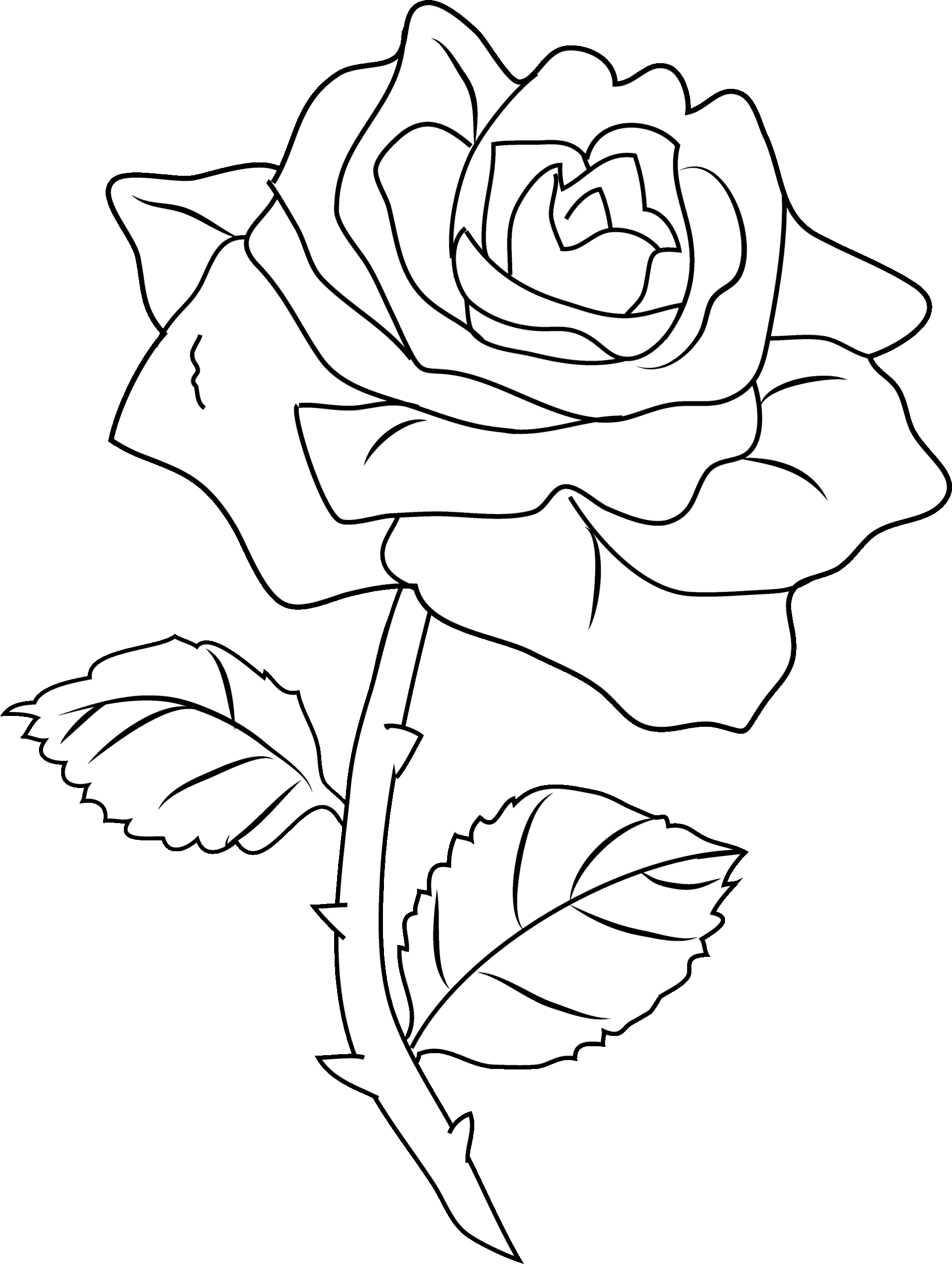 Printable Coloring Pages Of Roses