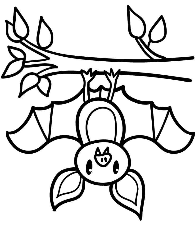 Bat Coloring Pages Free Printable