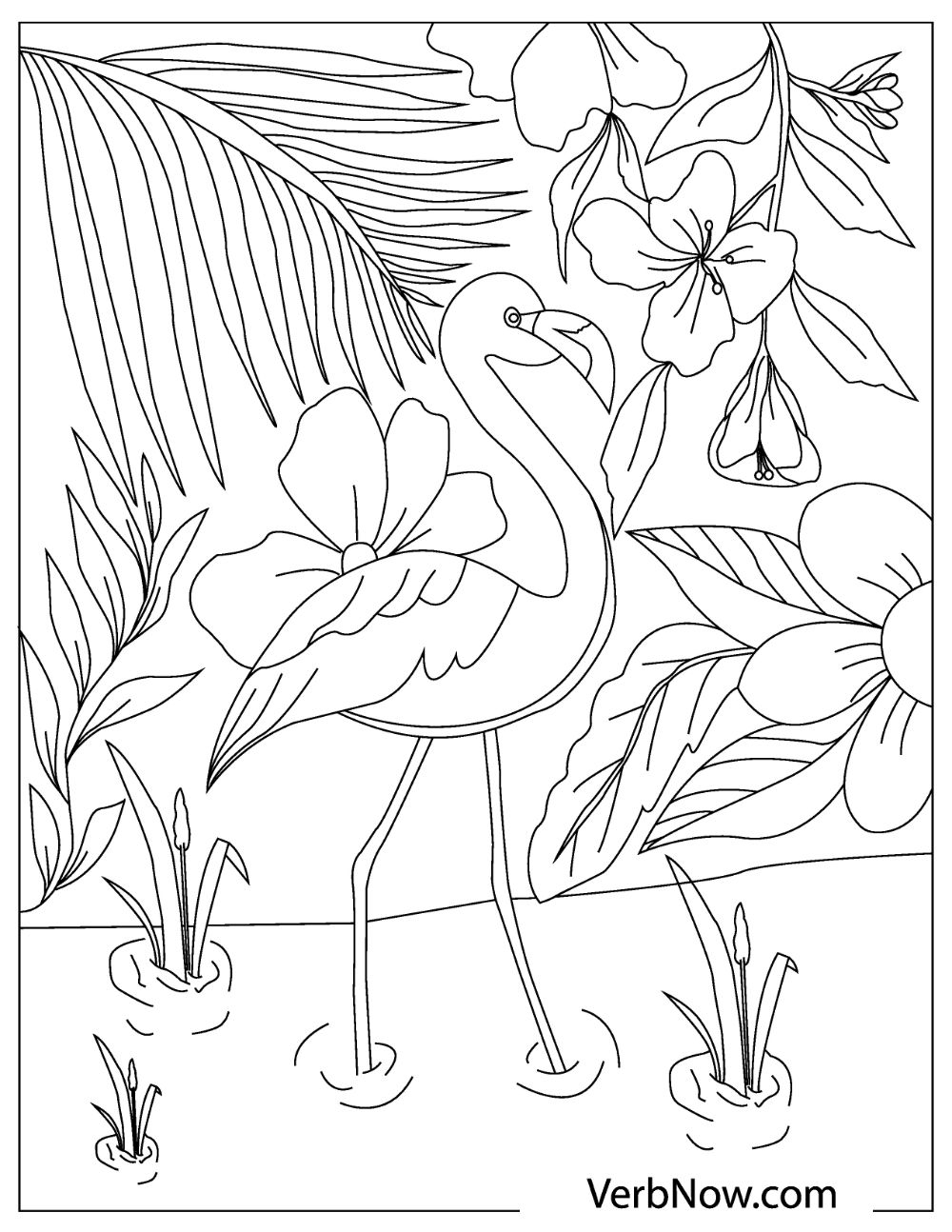 Printable Flamingo Coloring Page For Kids Coloring Pages