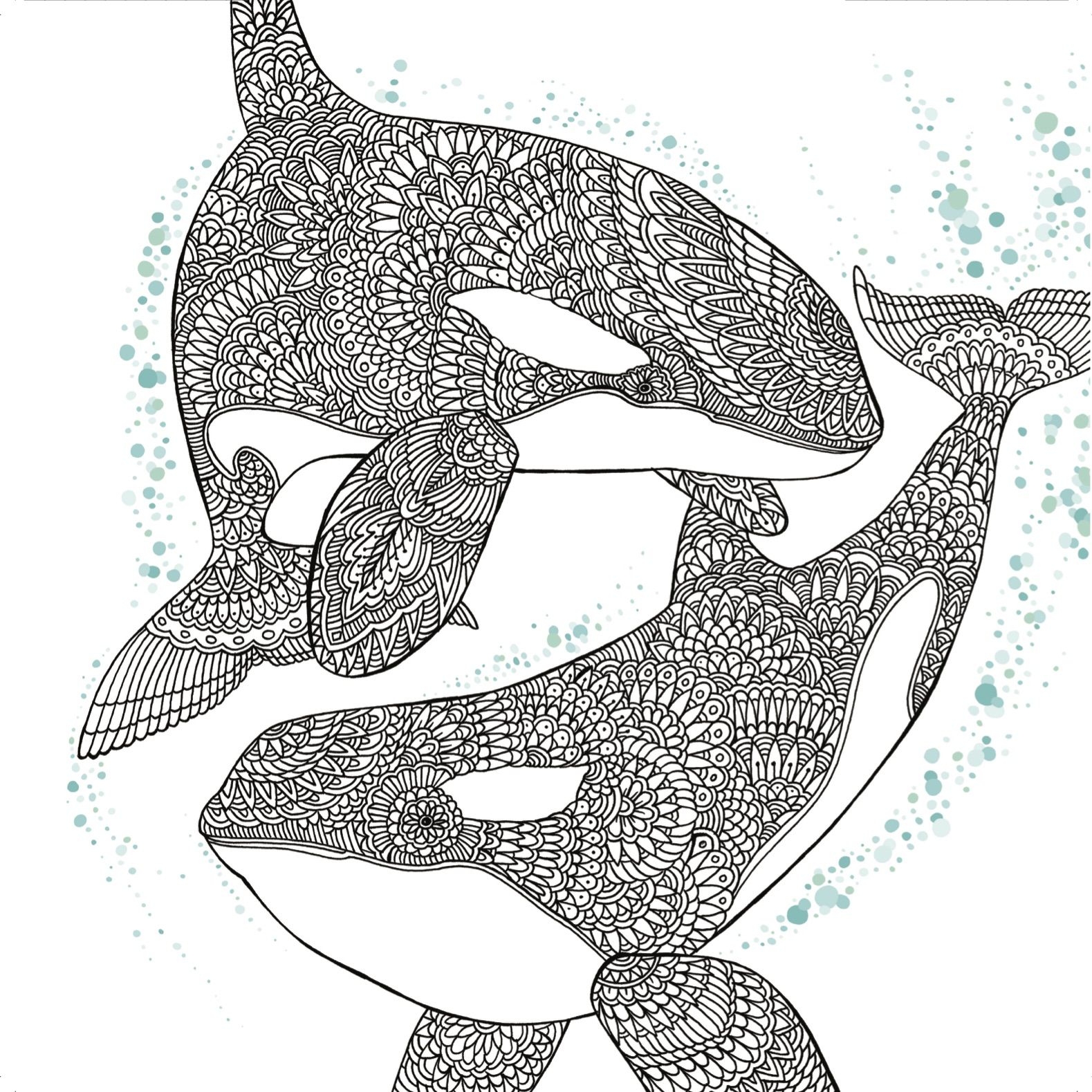 Killer Whale Printable Coloring Pages