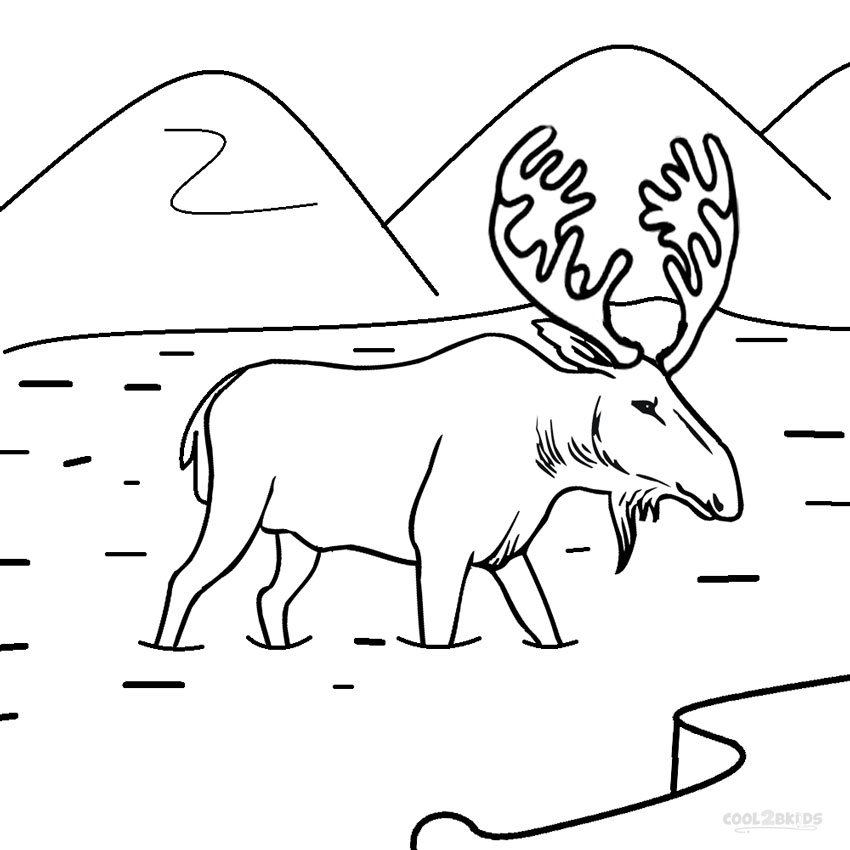 Printable Moose Coloring Pages For Kids Cool2bKids