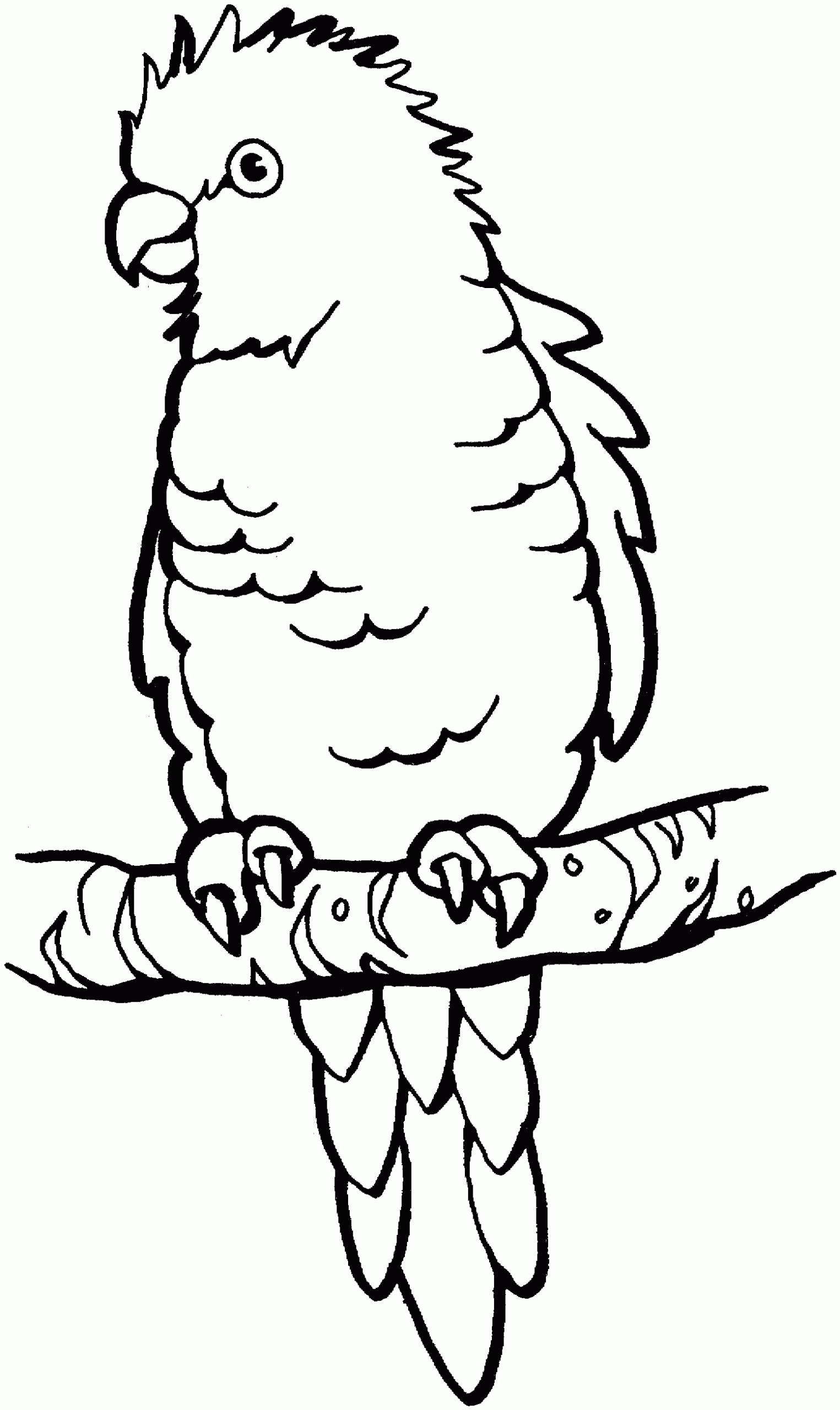 Printable Parrot Coloring Pages Printable Word Searches