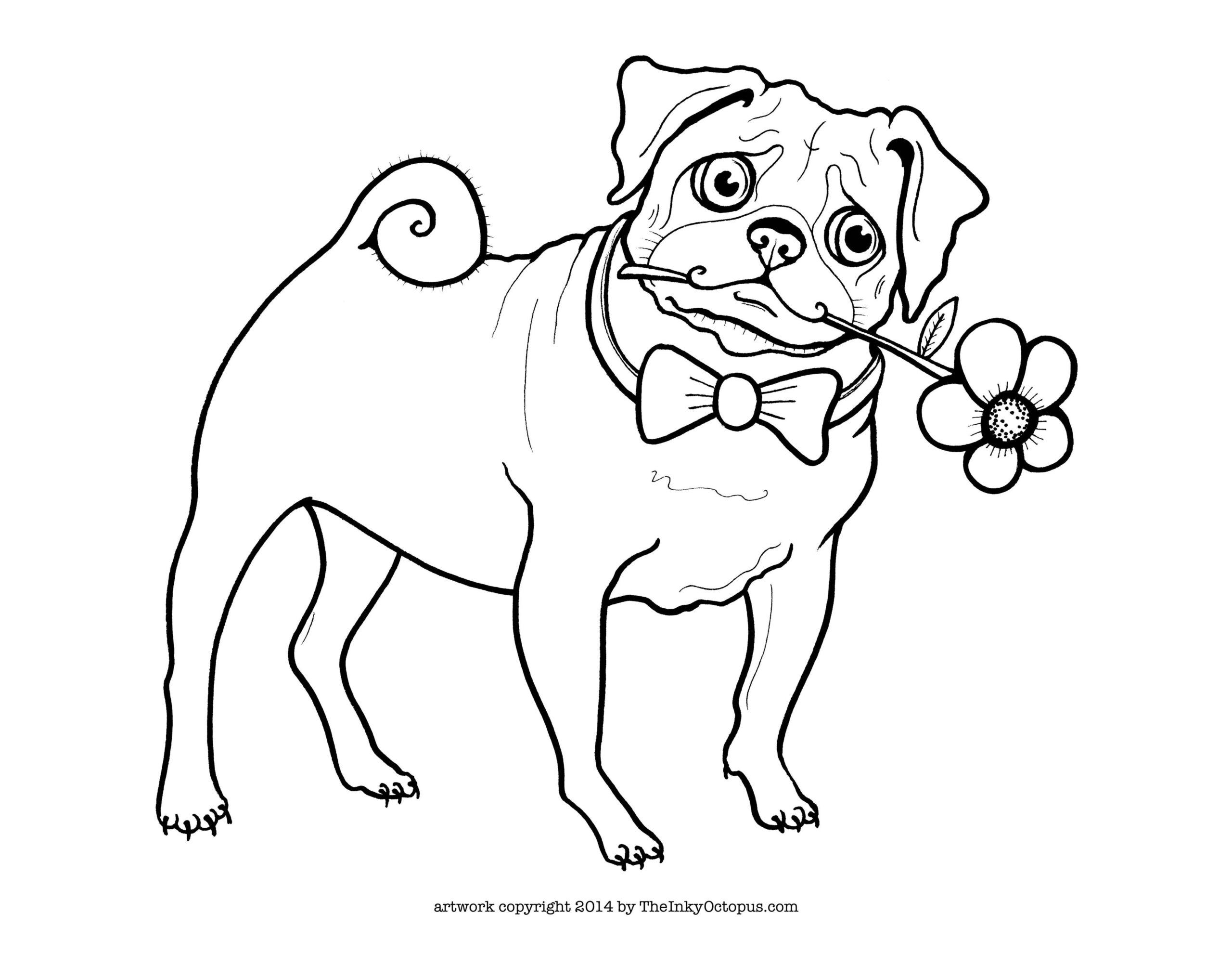 Free Printable Pug Coloring Pages