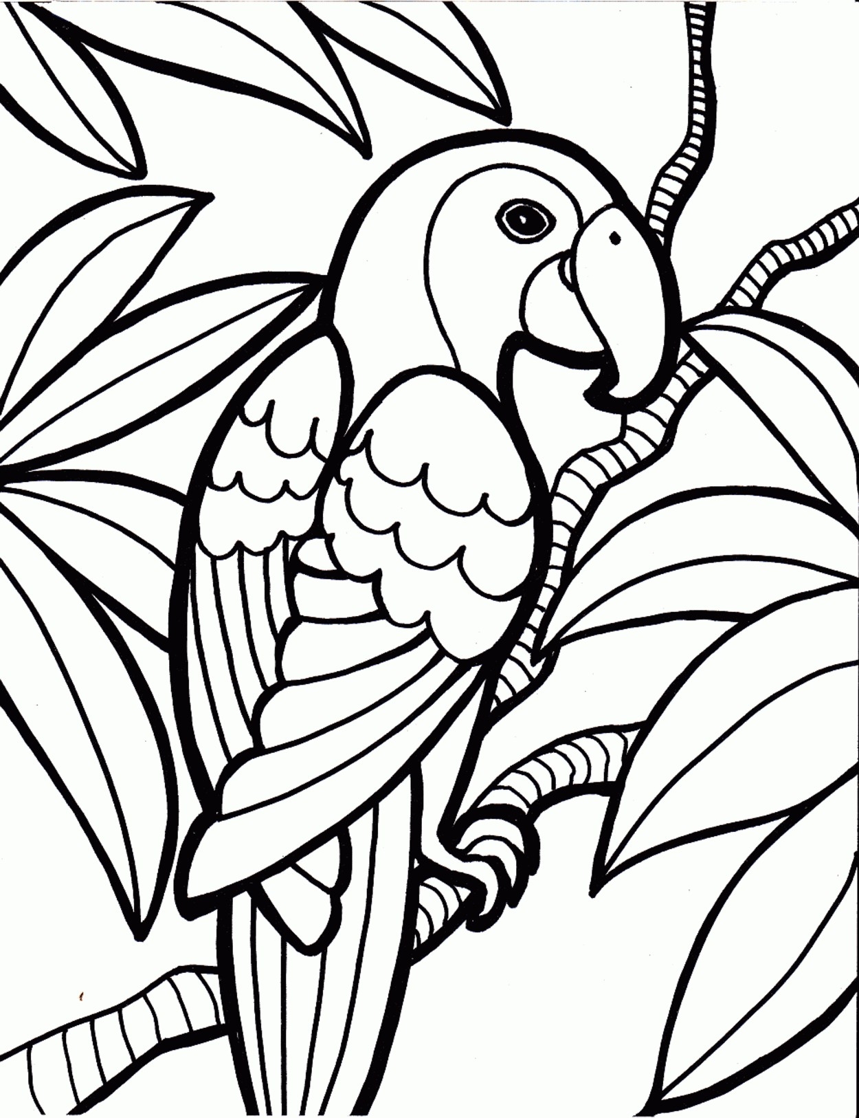Printable Rainforest Coloring Pages At GetColorings Free Printable Colorings Pages To