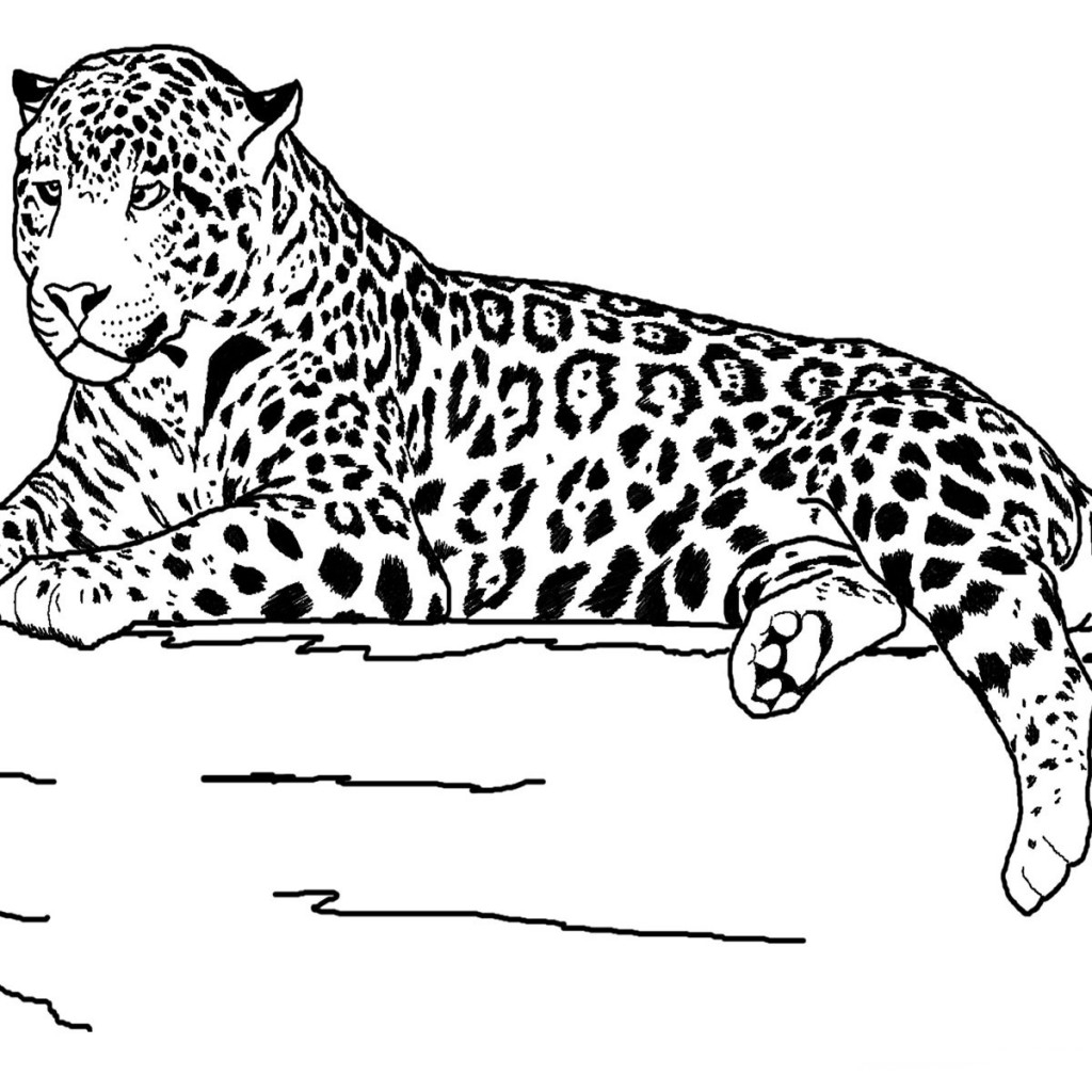 Printable Realistic Animal Coloring Pages At GetColorings Free Printable Colorings Pages