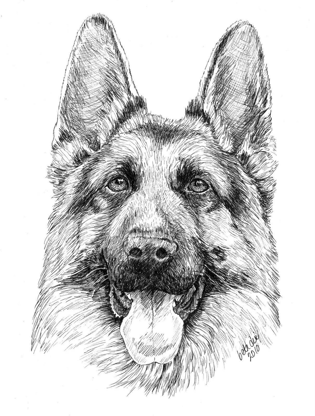 Printable Realistic Dog Coloring Pages