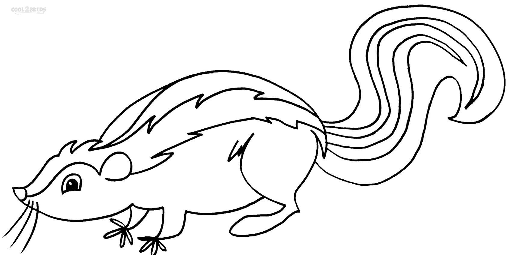 Printable Skunk Coloring Pages For Kids Cool2bKids