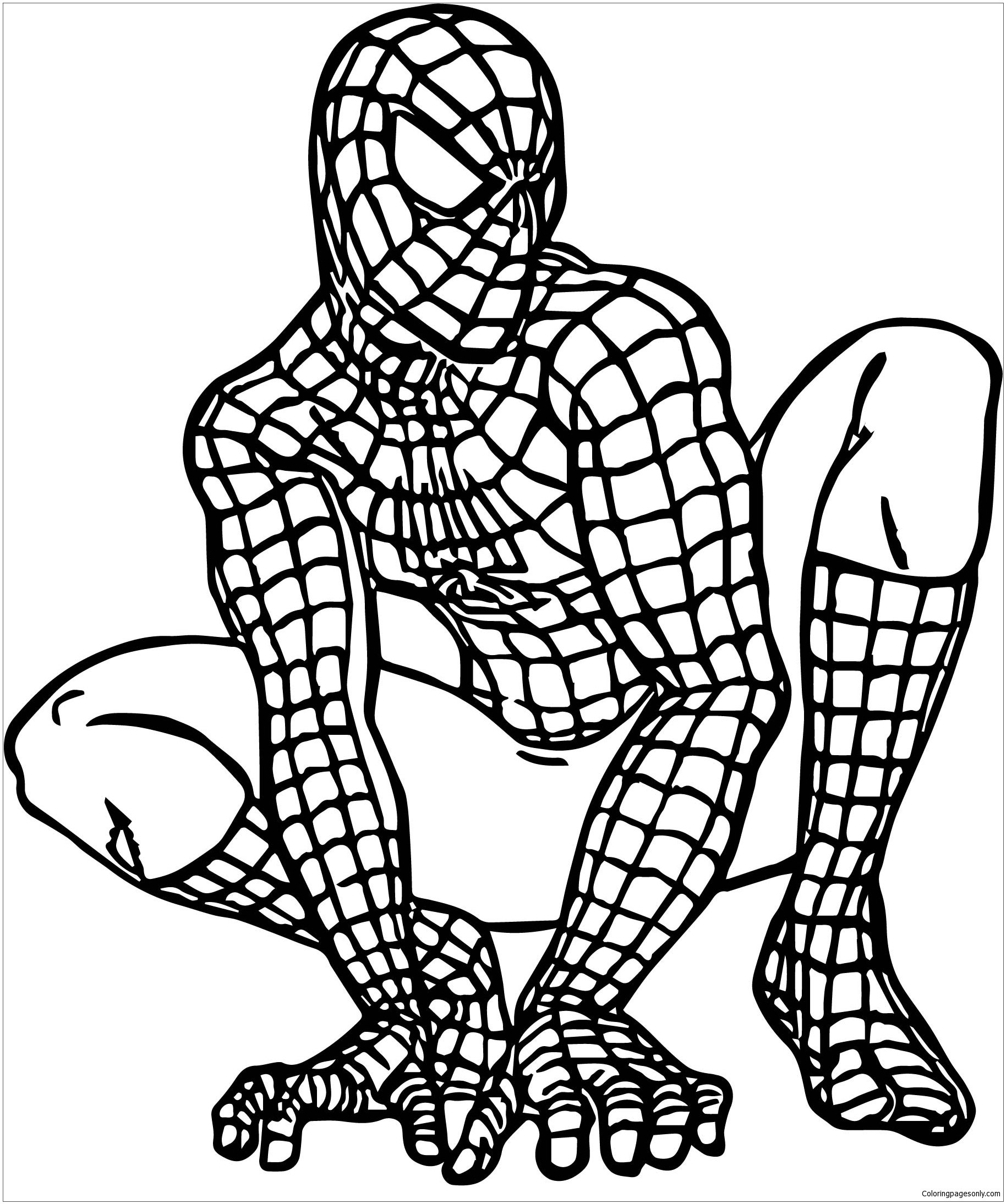 Printable Spiderman Coloring Pages For Kids Cool2bkids Superhero Images And Photos Finder