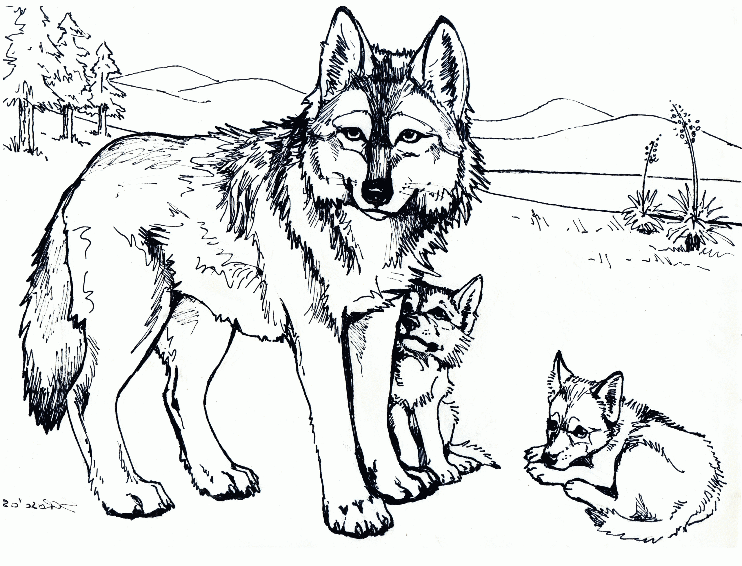 Free Printable Wolf Coloring Page