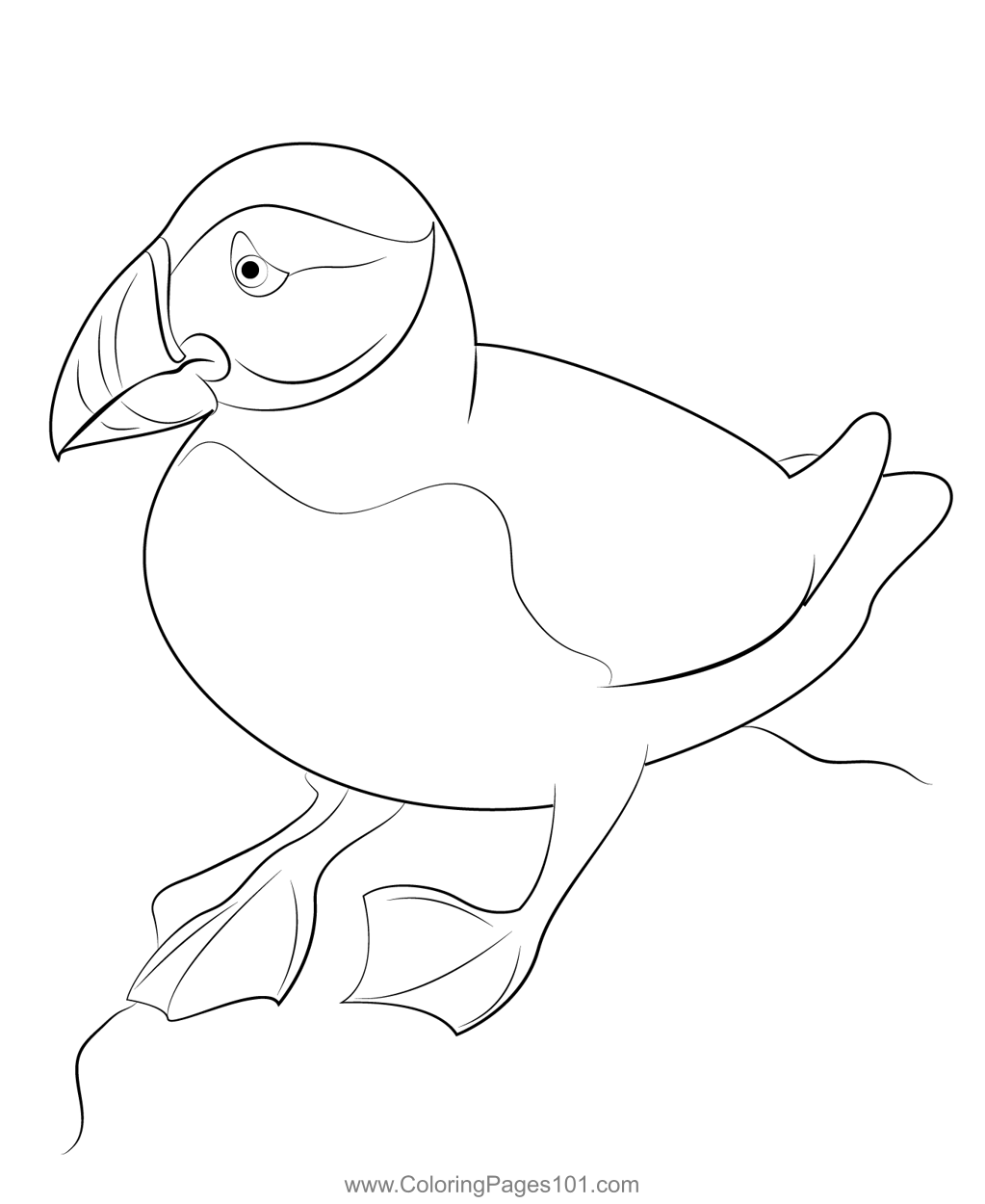 Puffin Coloring Page For Kids Free Auks Printable Coloring Pages Online For Kids
