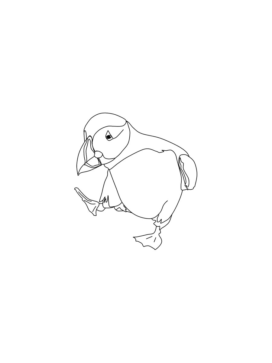 Puffin Coloring Pages Free Printable