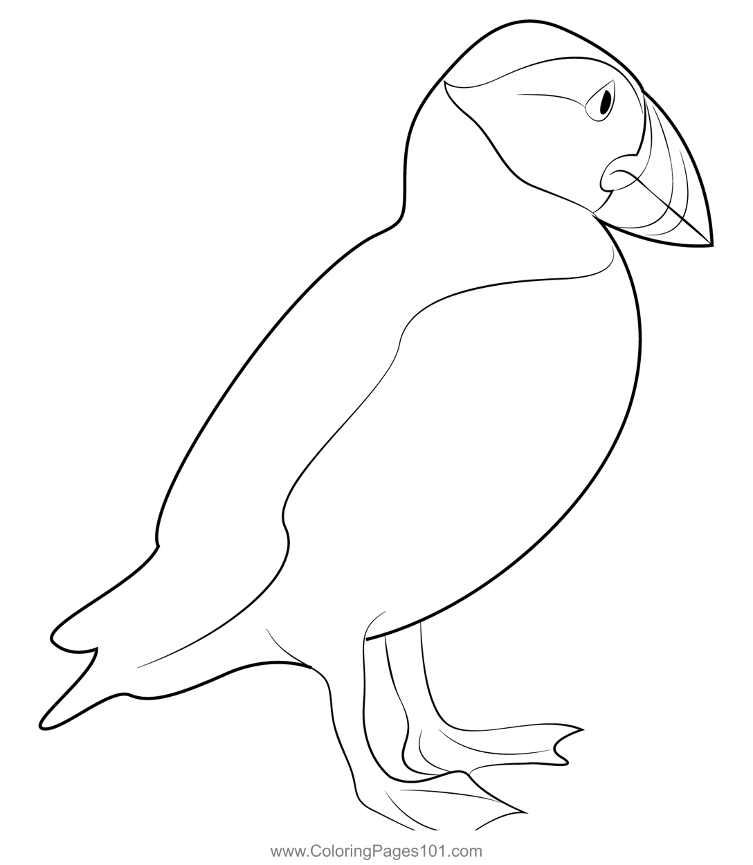 Puffin Standing Coloring Page For Kids Free Auks Printable Coloring Pages Online For Kids
