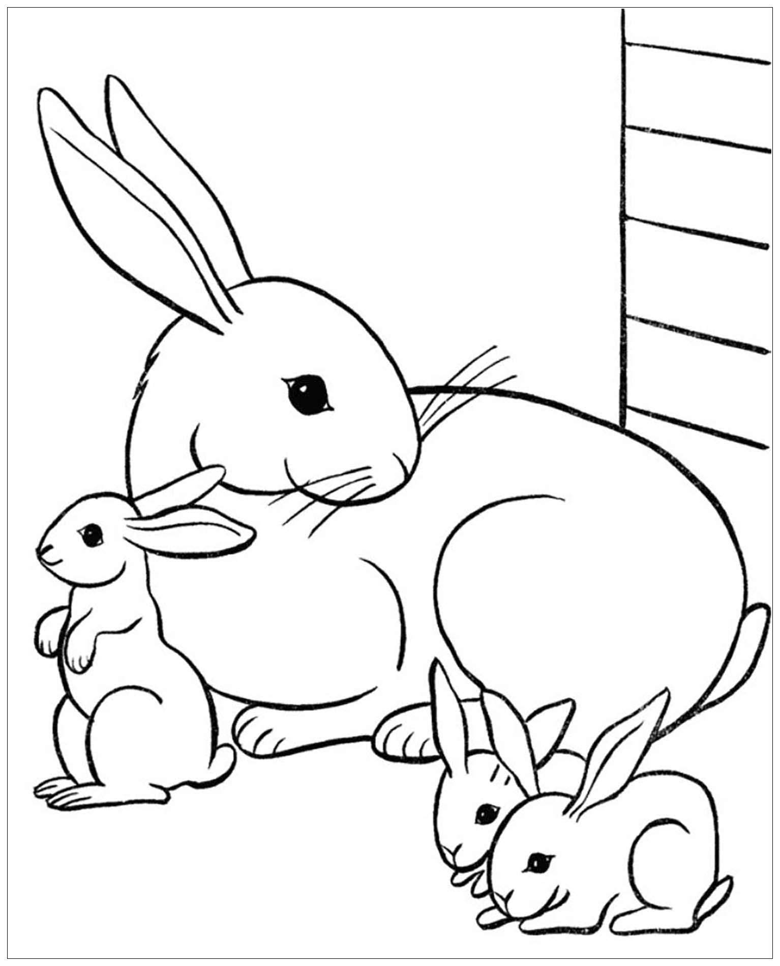 Rabbit Bunnies Coloring Page For Kids Rabbit Bunny Coloring Pages For Kids