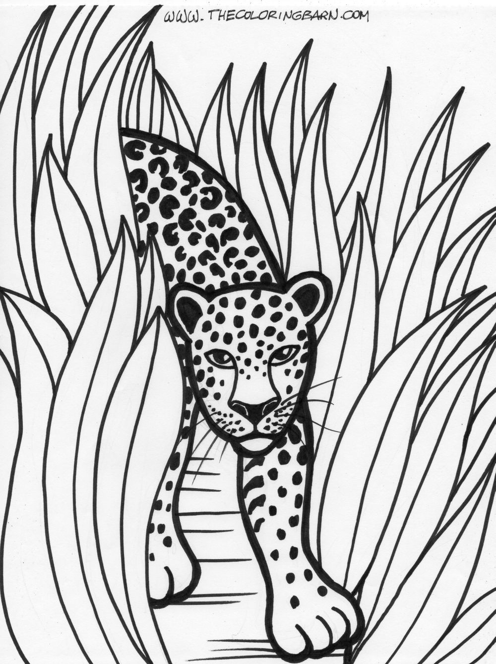 Printable Rainforest Coloring Pages