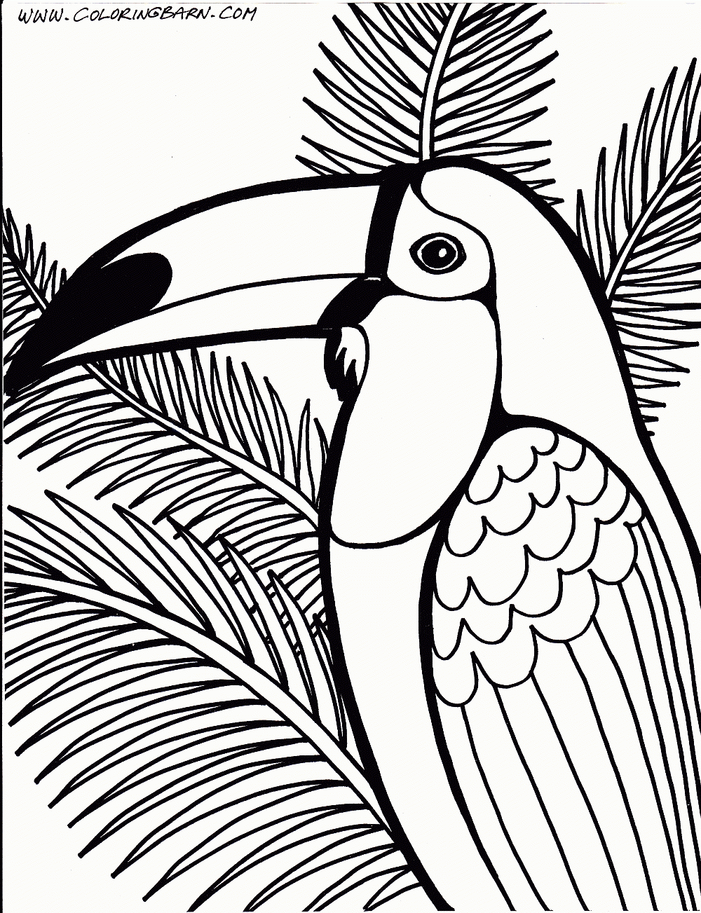 Rainforest Coloring Page Rainforest Animal Coloring Pages Free Coloring Home