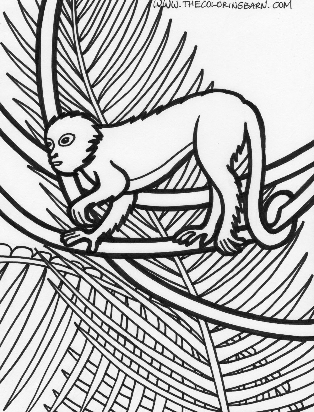 Rainforest Coloring Pages For Kids At GetColorings Free Printable Colorings Pages To Print