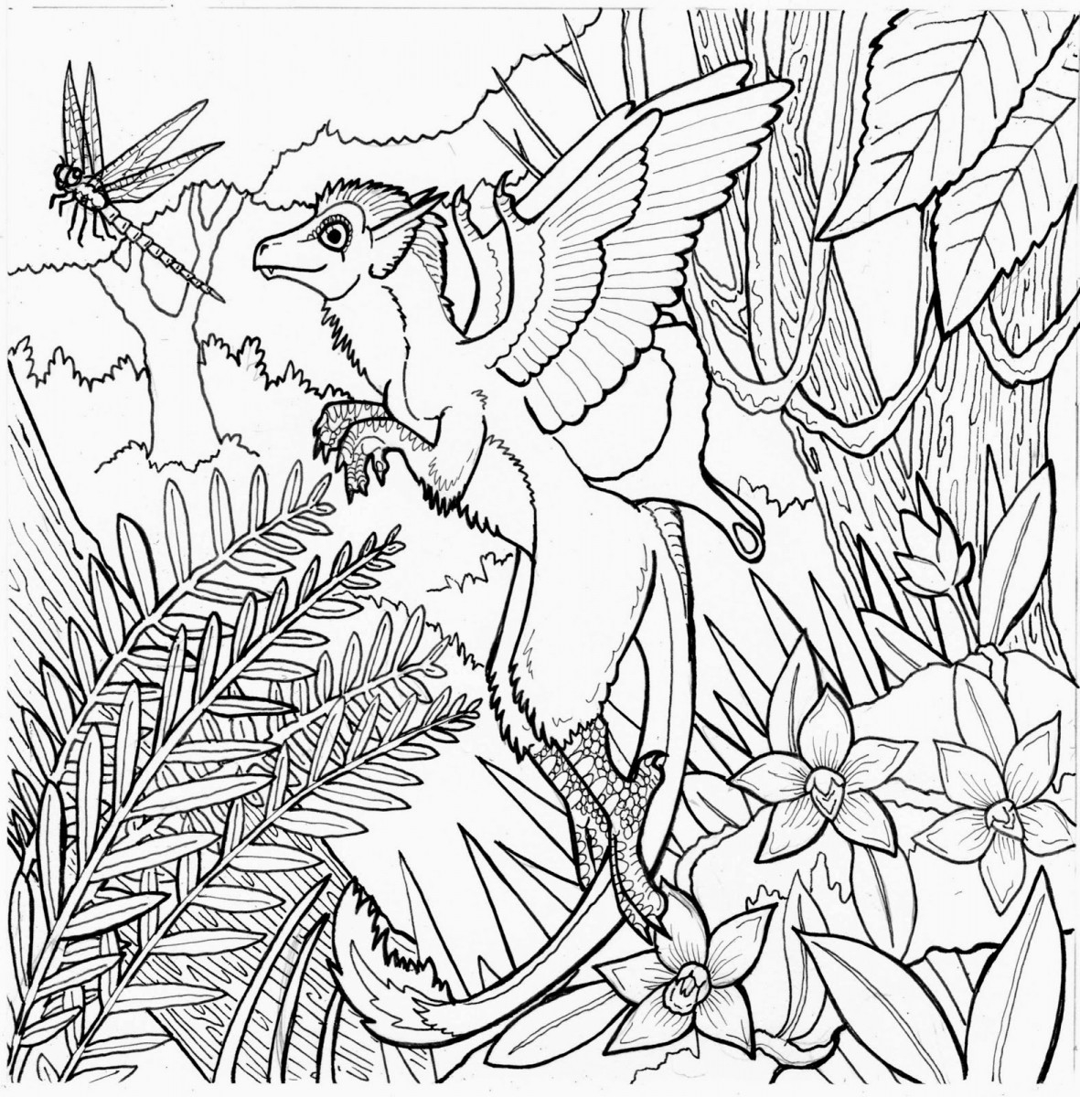 Rainforest Coloring Pages Printable