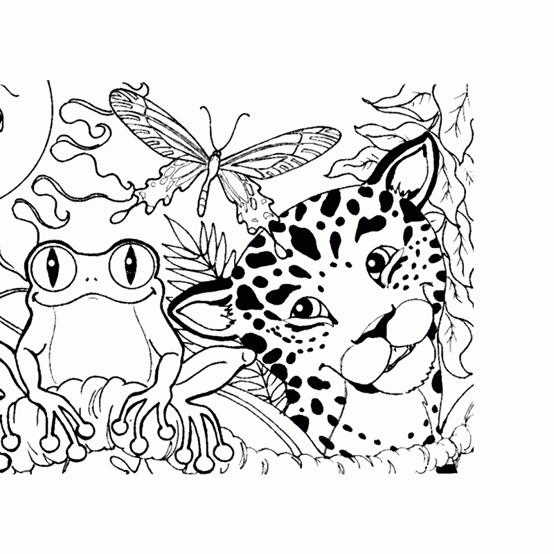 Coloring Pages Free Printable Rainforest