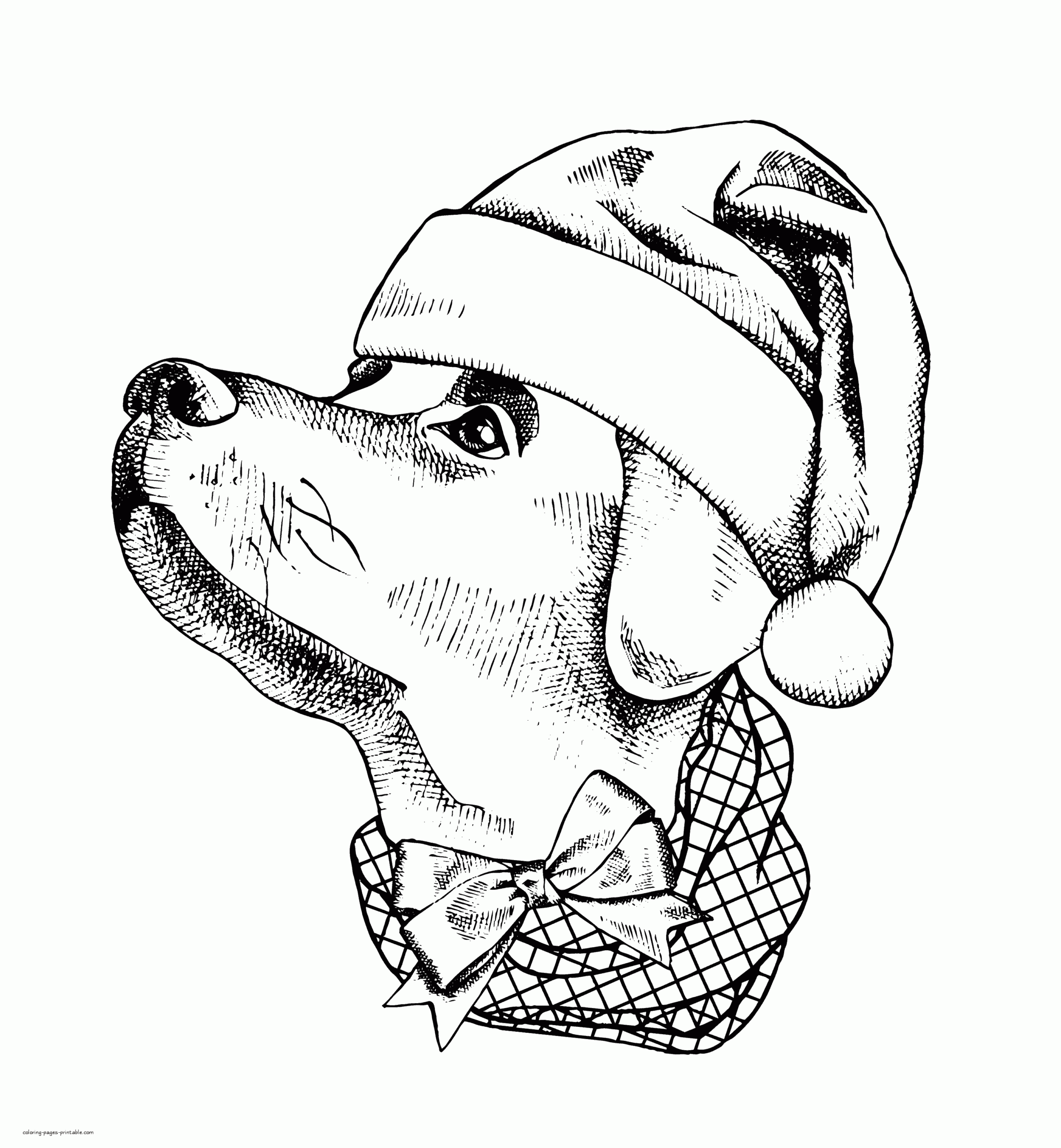 Real Dog Coloring Page For Adult COLORING PAGES PRINTABLE COM