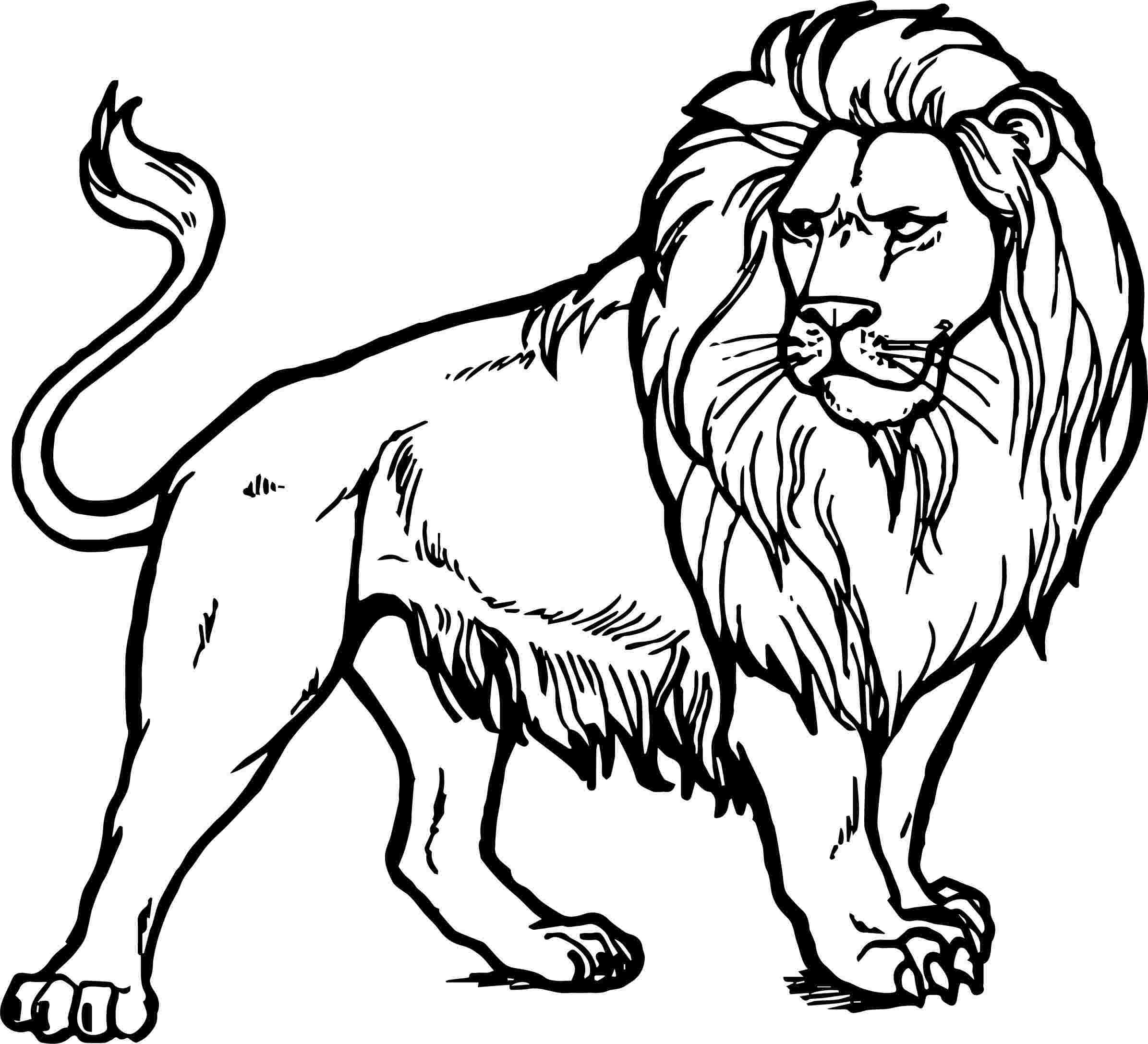 Realistic Lion Coloring Pages Lion Coloring Pages Zoo Coloring Pages Coloring Pictures