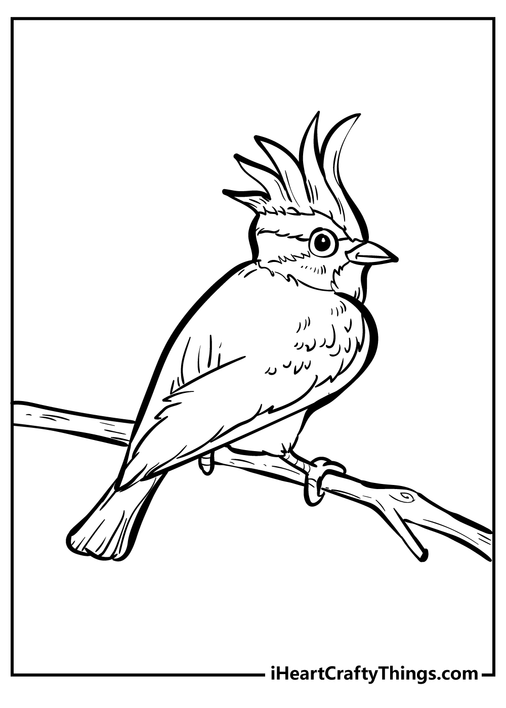 Red Bird Coloring Page