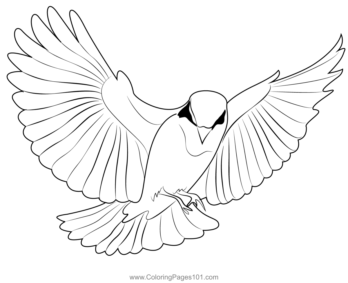Red Bird Flying Coloring Page For Kids Free Sparrows Printable Coloring Pages Online For Kids