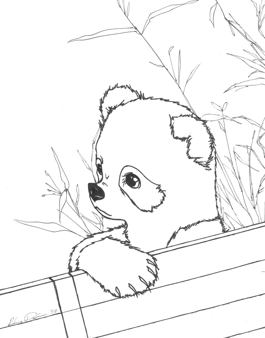 Red Panda Coloring Page At GetColorings Free Printable Colorings Pages To Print And Color