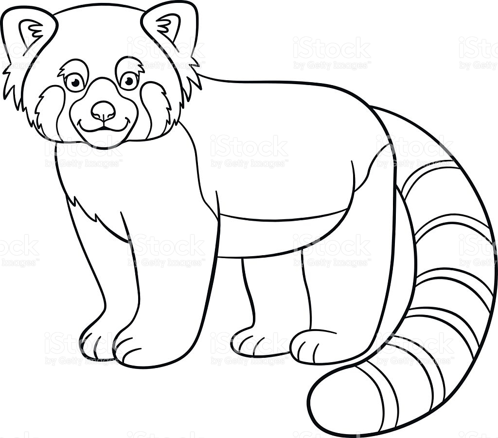 Red Panda Coloring Page Printable