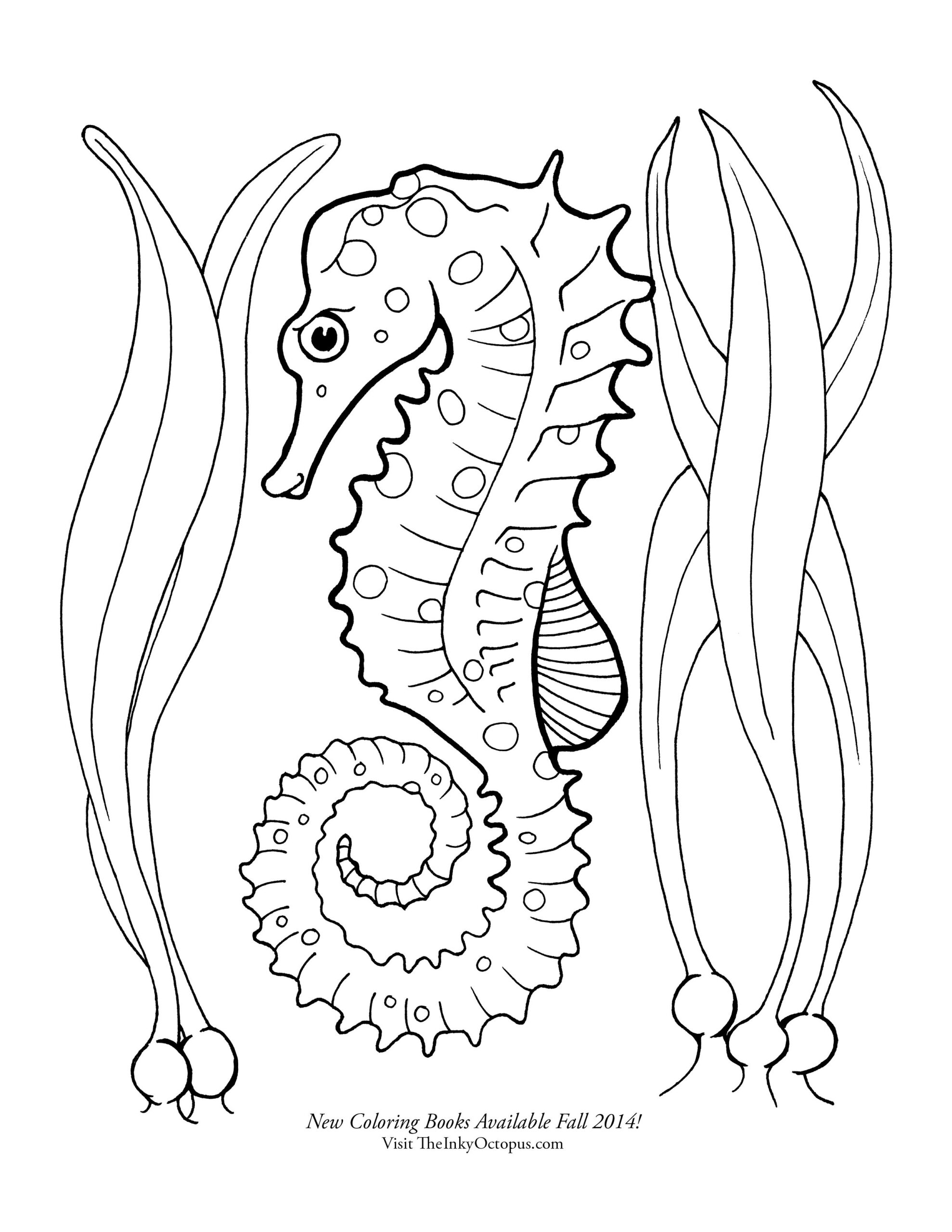RELATION EBOOKS Seahorse Coloring Pages Online