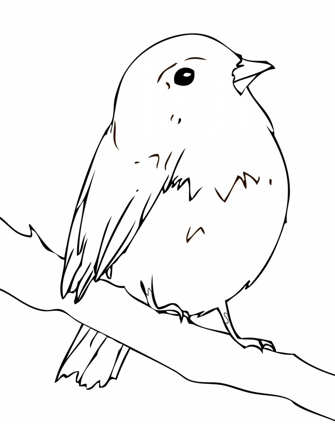 Robin Coloring Pages Best Coloring Pages For Kids