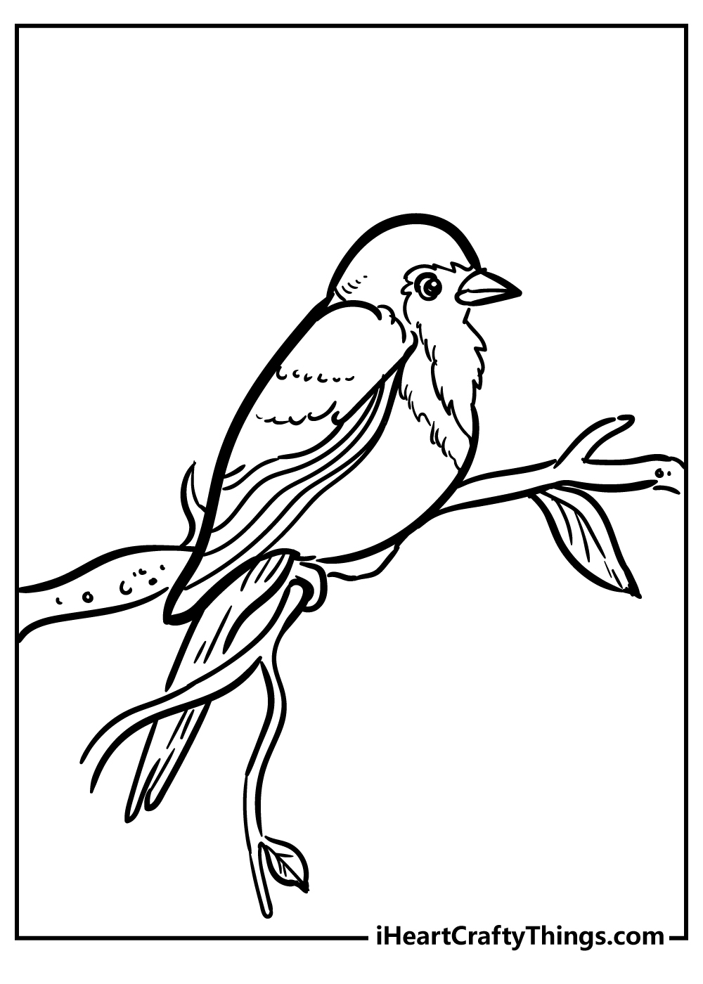 Free Printable Robin Coloring Pages