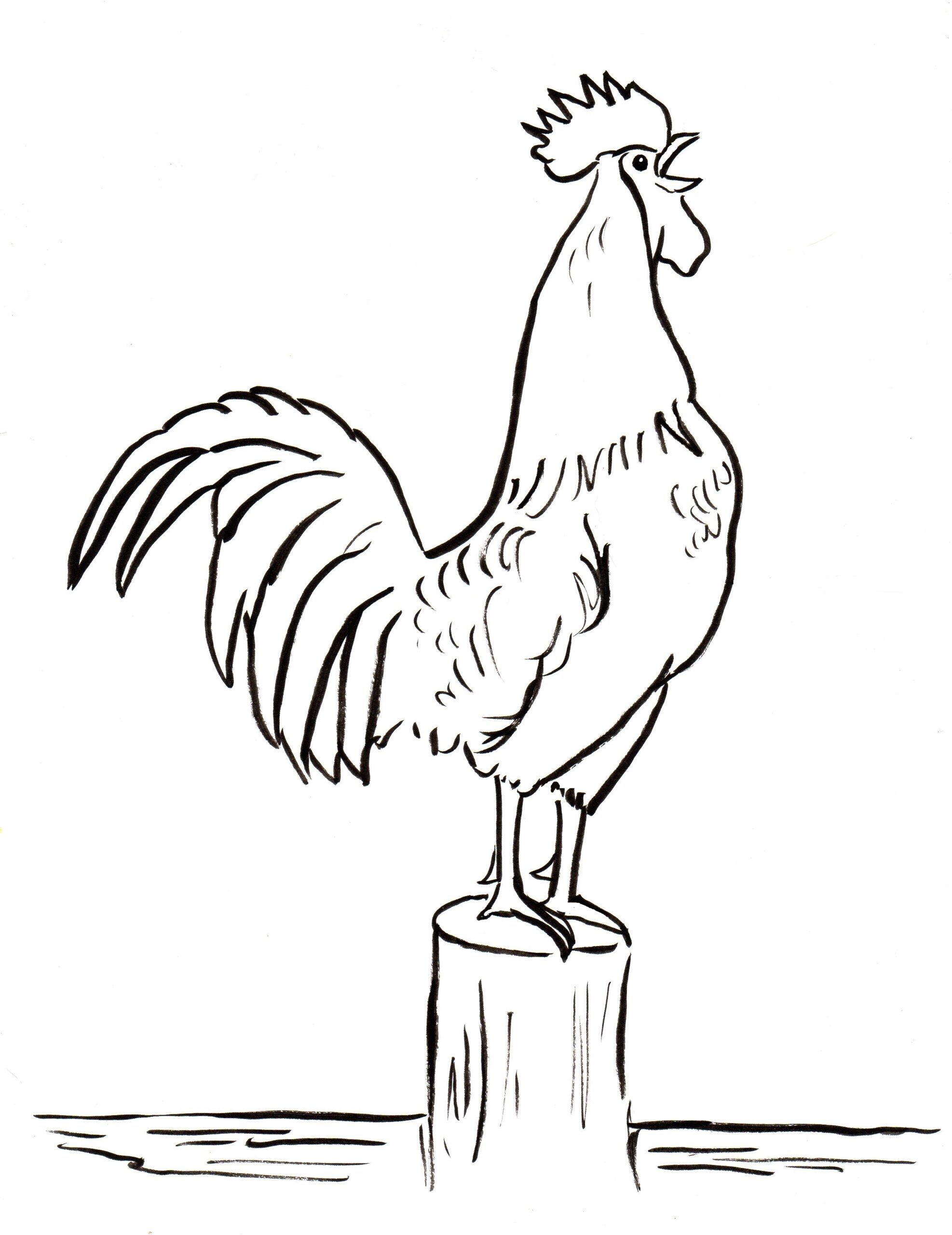 Rooster Coloring Pages Free Printable