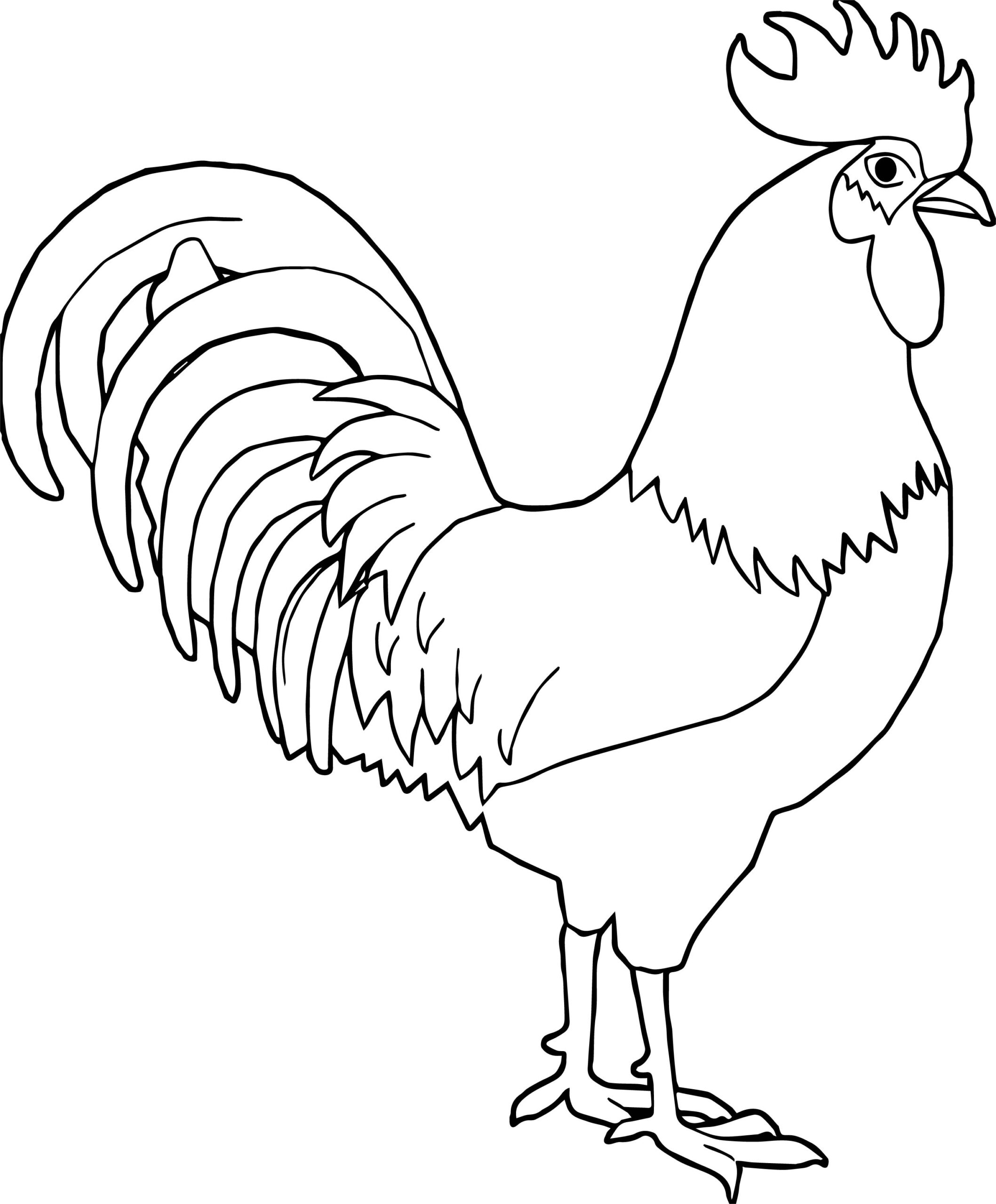 Rooster Coloring Pages Kidsuki