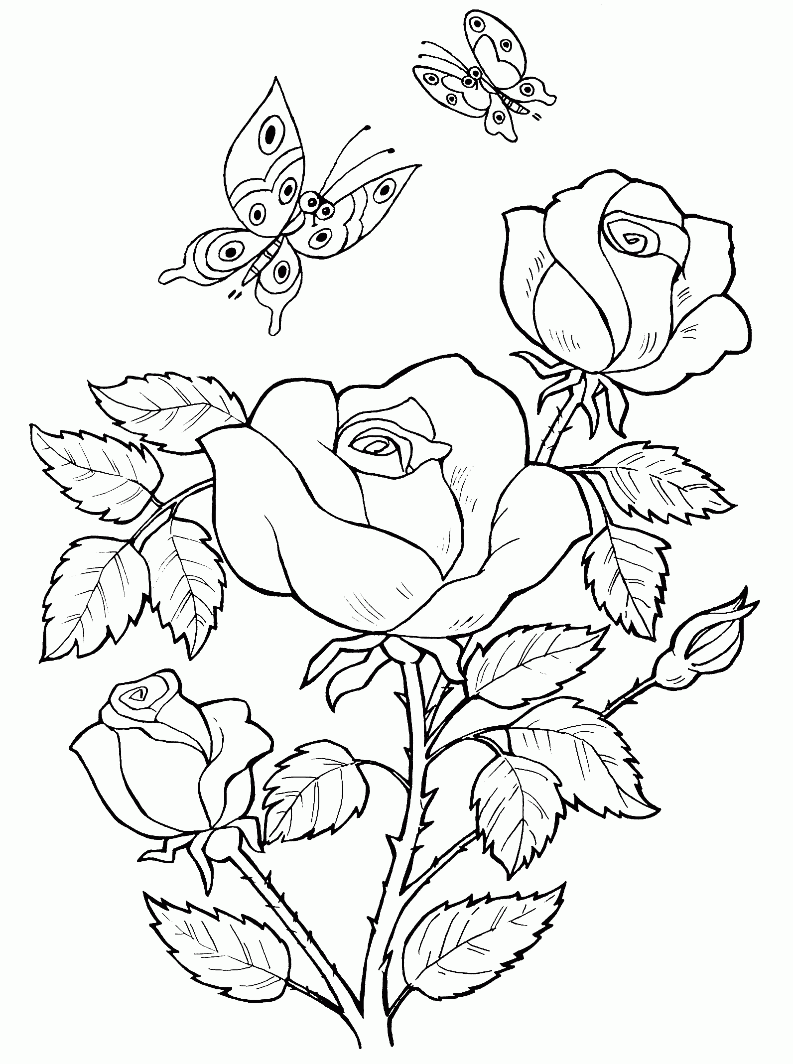 Printable Coloring Pages Of Roses