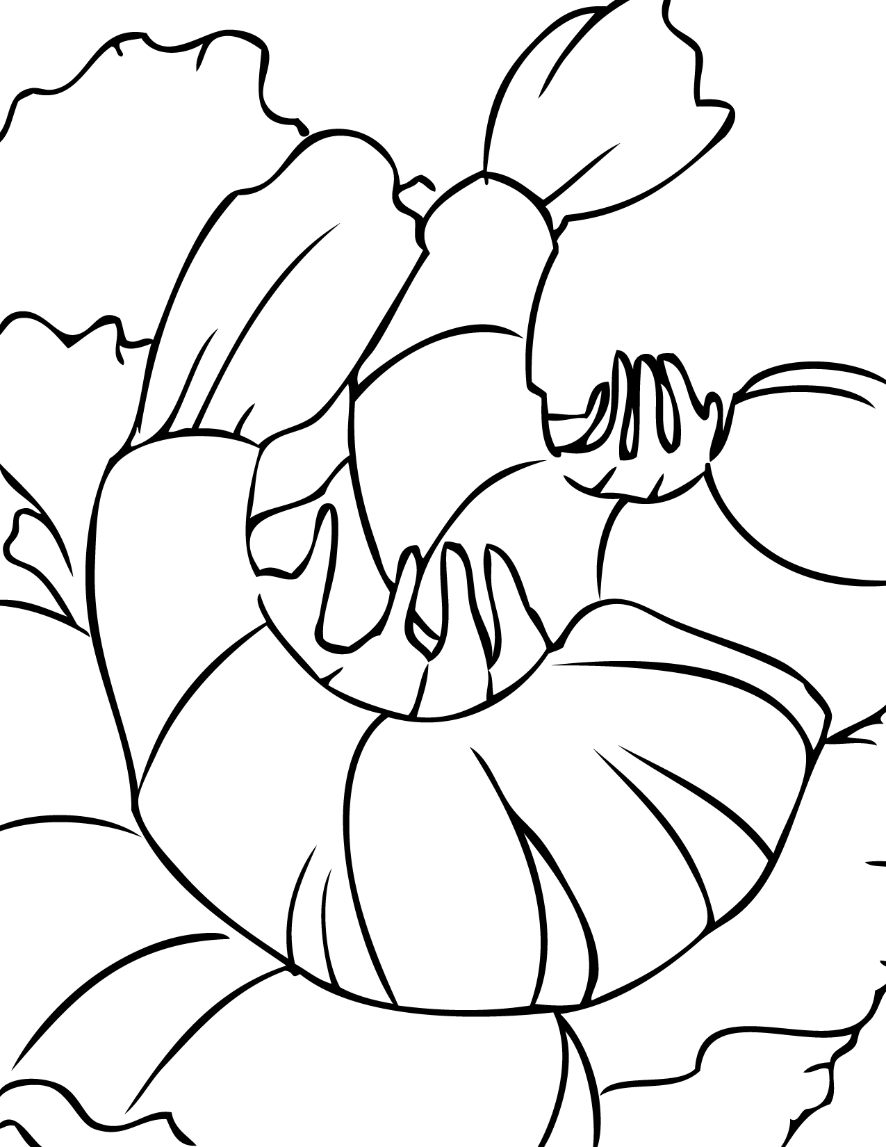 Seafood Coloring Pages At GetColorings Free Printable Colorings Pages To Print And Color