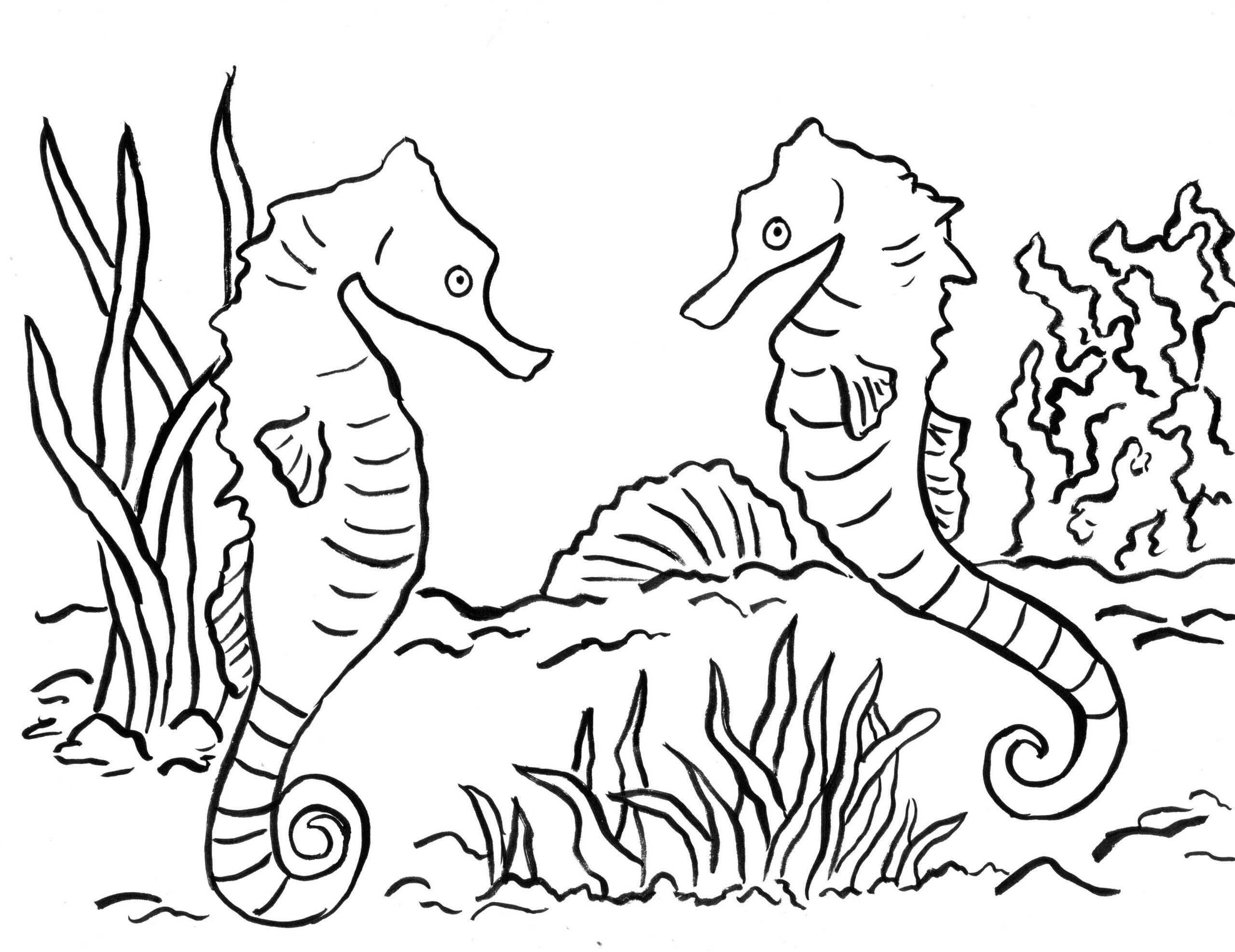 Seahorse Printable Coloring Pages