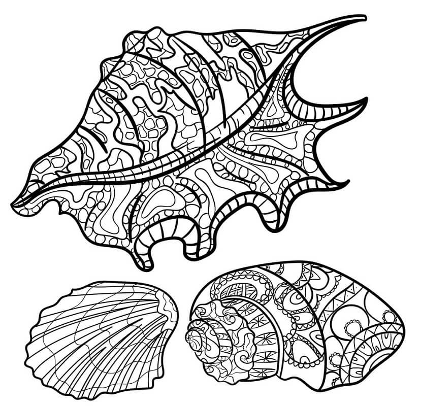 Free Printable Seashell Coloring Pages