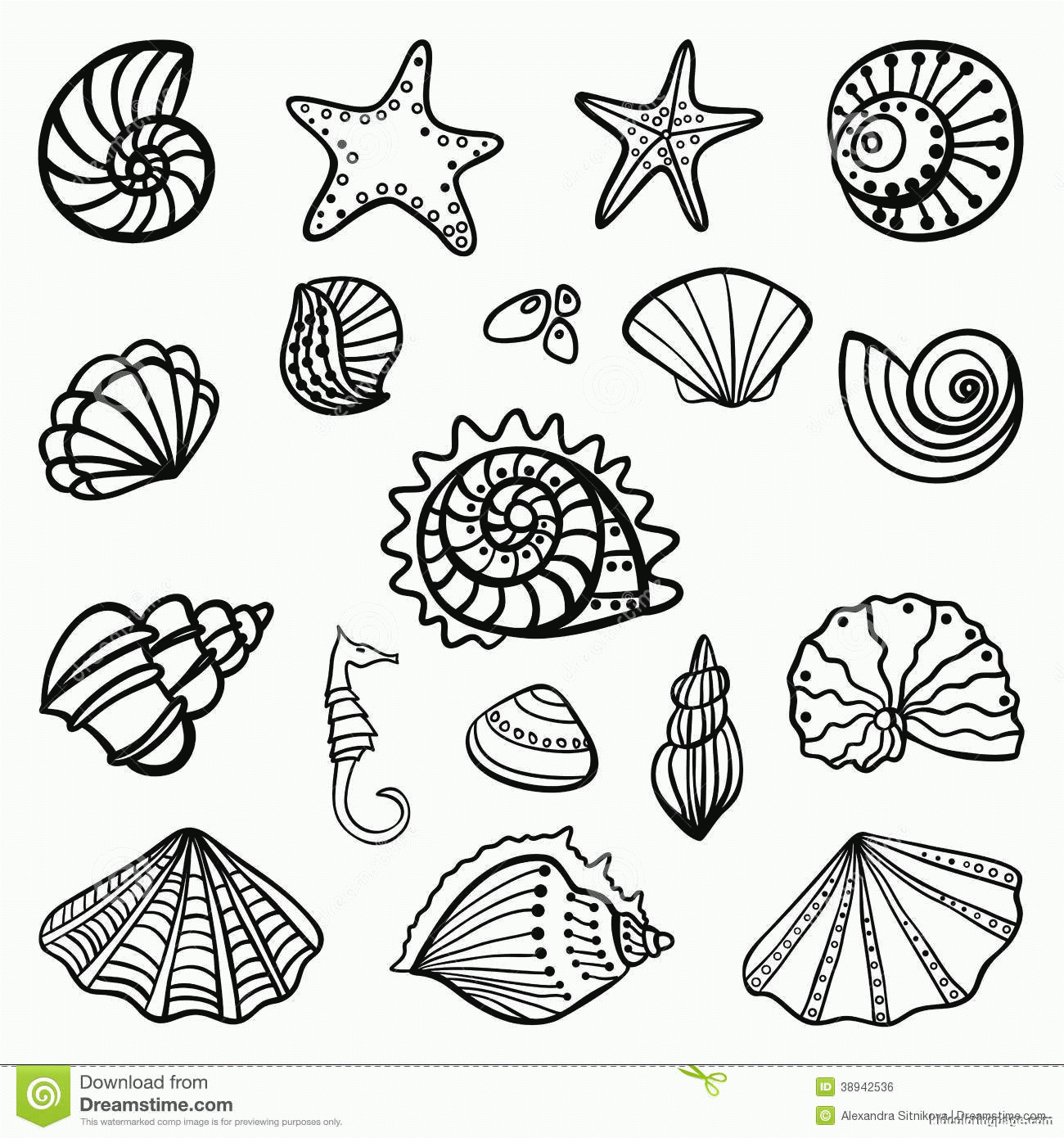 Printable Seashell Coloring Pages