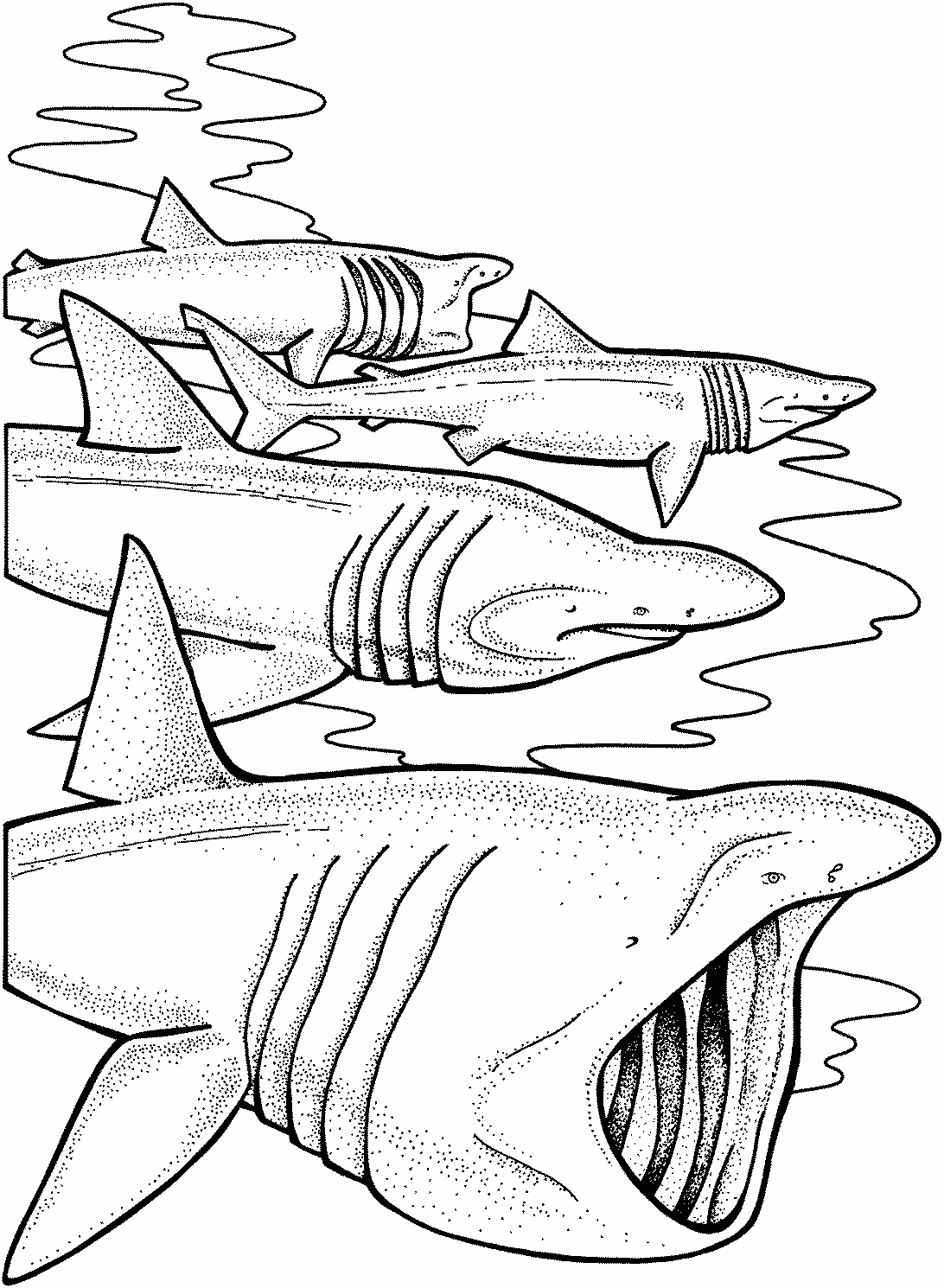 Shark Coloring Pages To Download And Print For Free