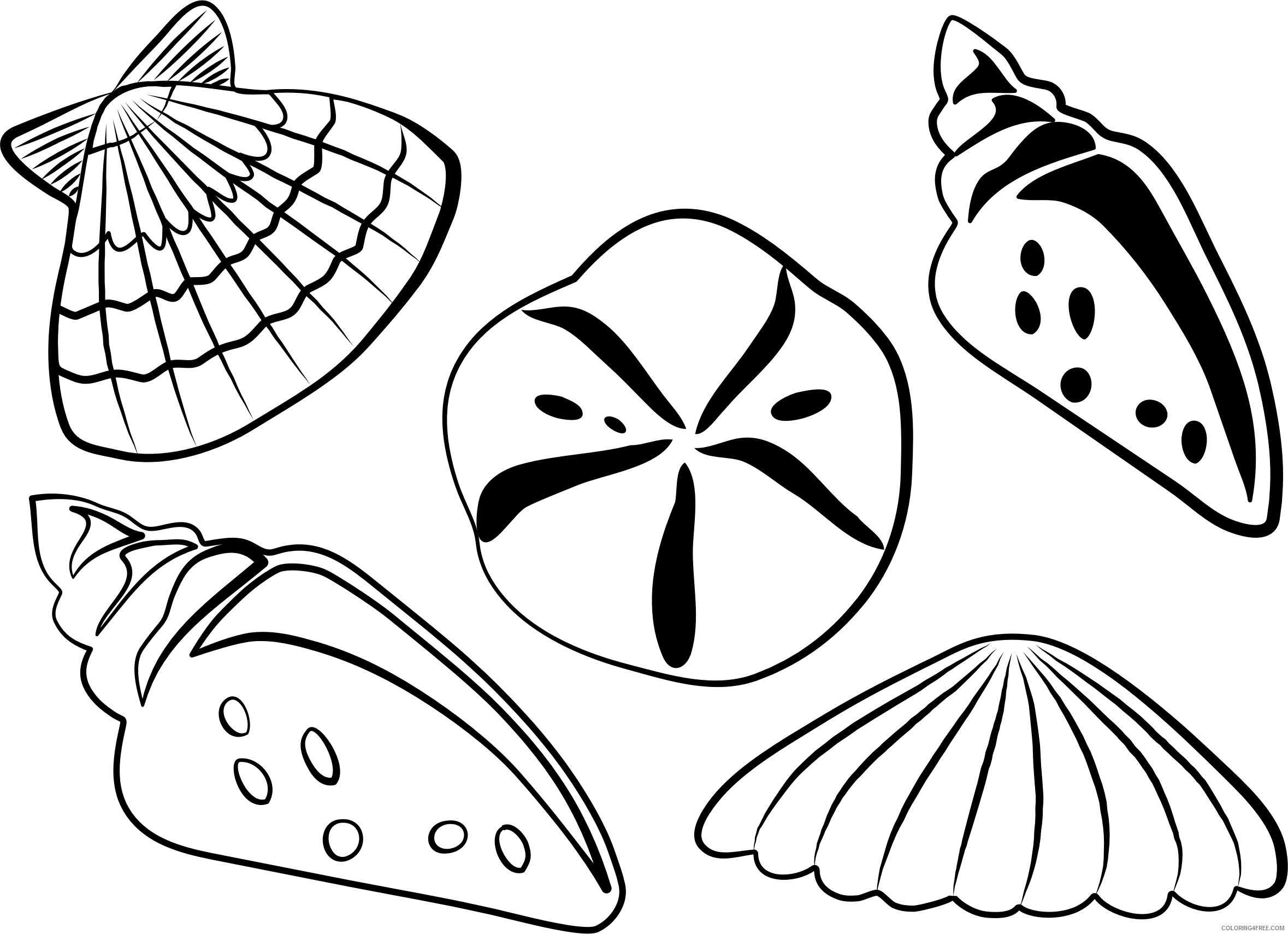 Shell Coloring Pages Sea Shells Printable Coloring4free Coloring4Free